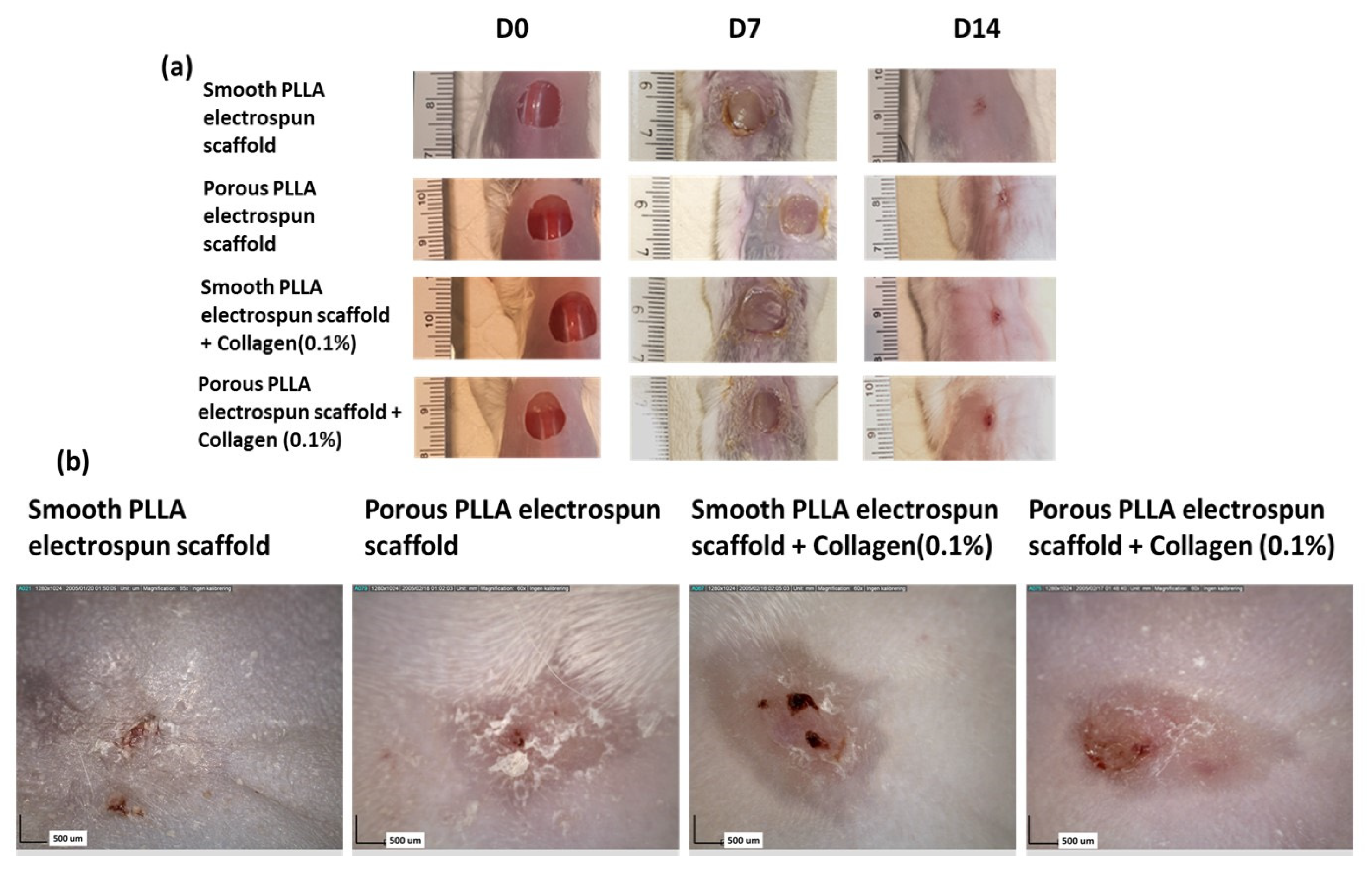 Pharmaceutics 15 00880 g002 Pharmaceutics 15 00880 g002