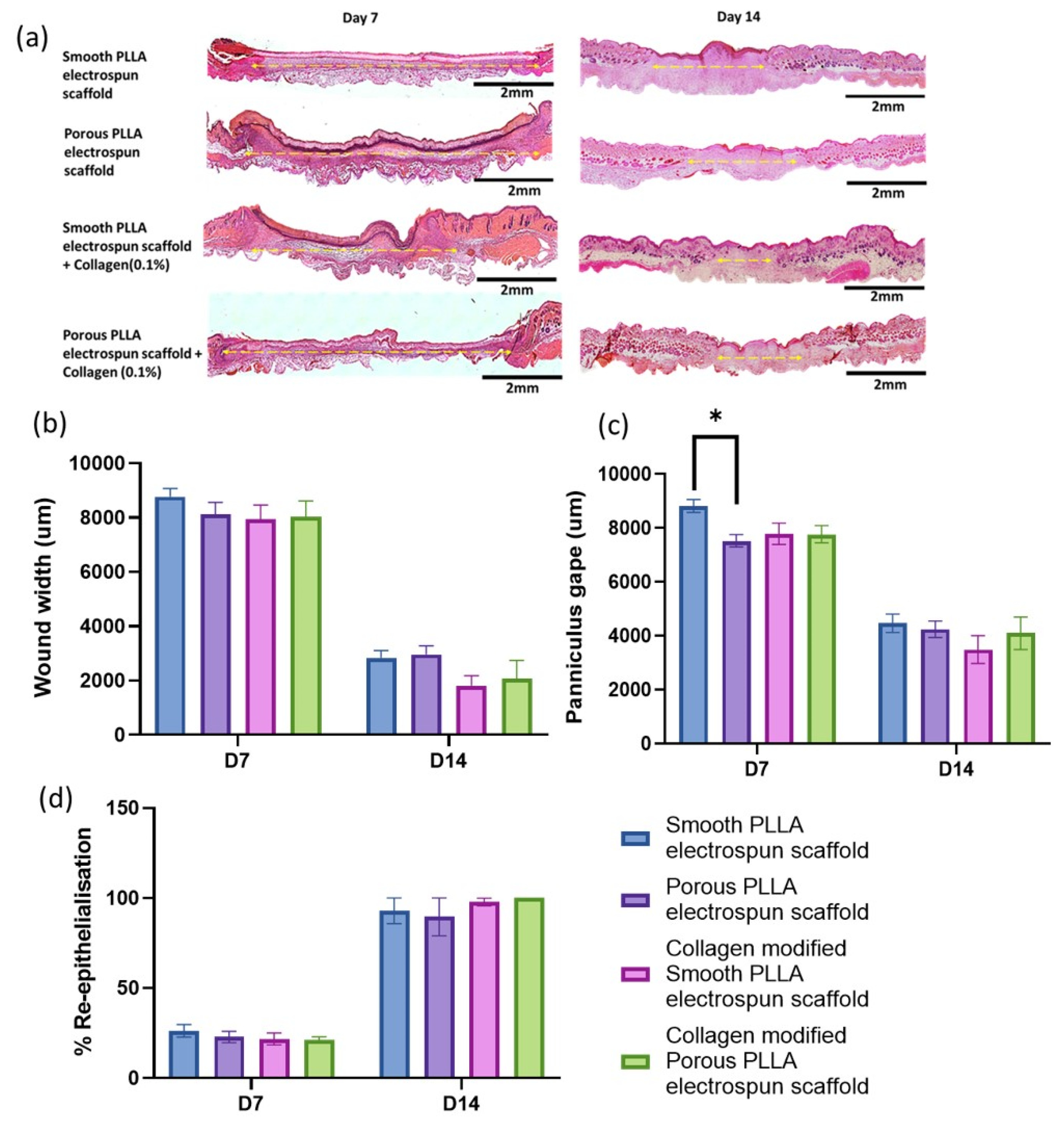 Pharmaceutics 15 00880 g004 Pharmaceutics 15 00880 g004