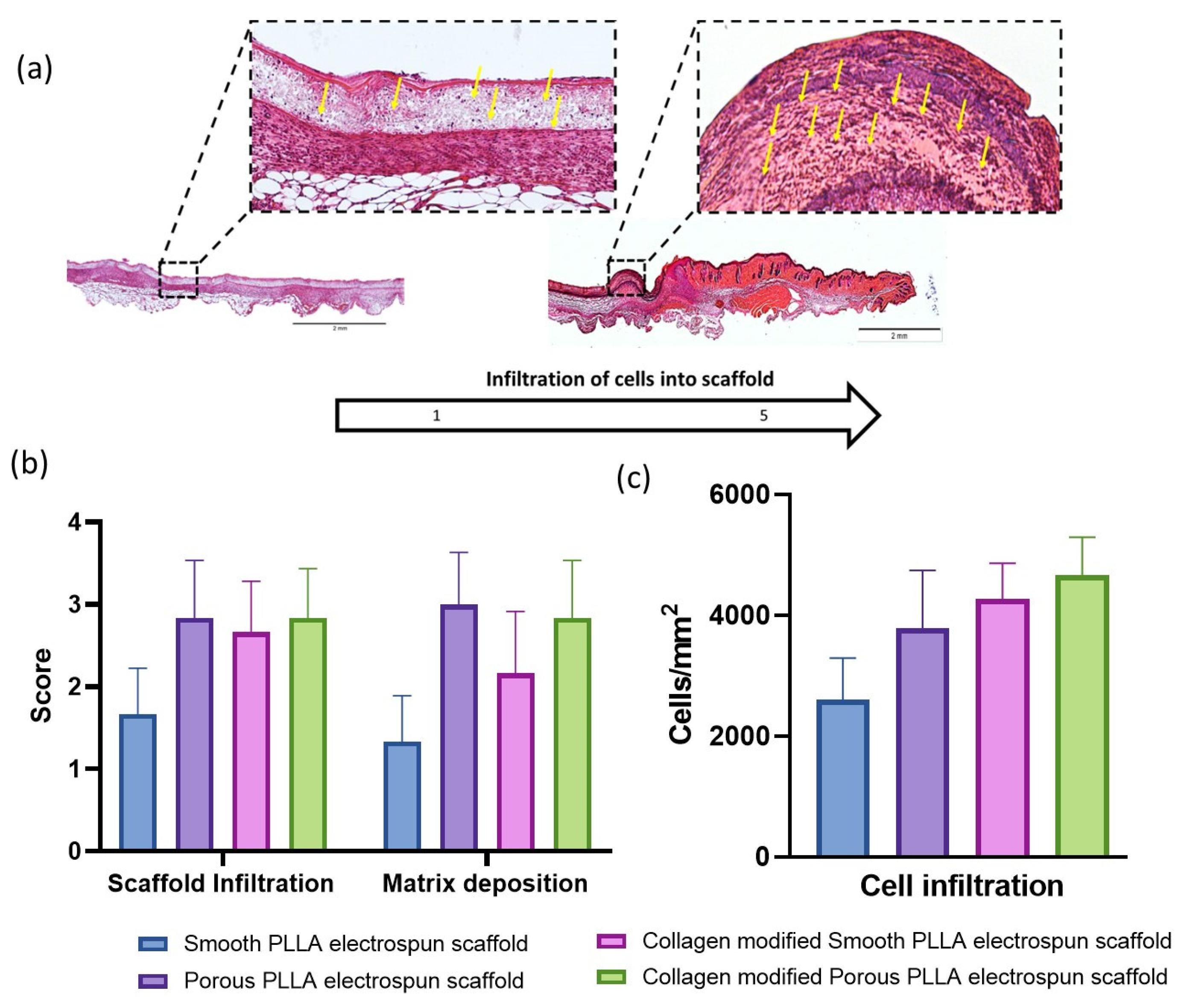 Pharmaceutics 15 00880 g005 Pharmaceutics 15 00880 g005