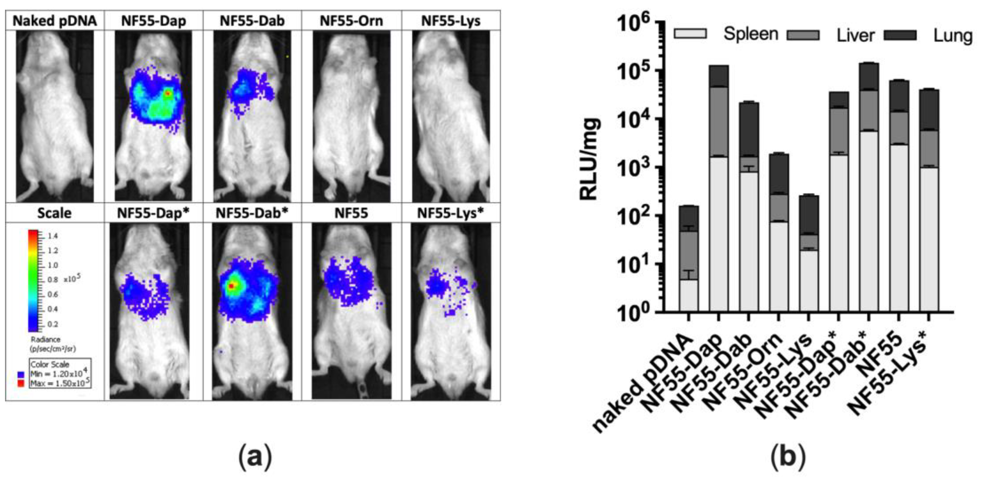 Pharmaceutics 15 00883 g005 Pharmaceutics 15 00883 g005