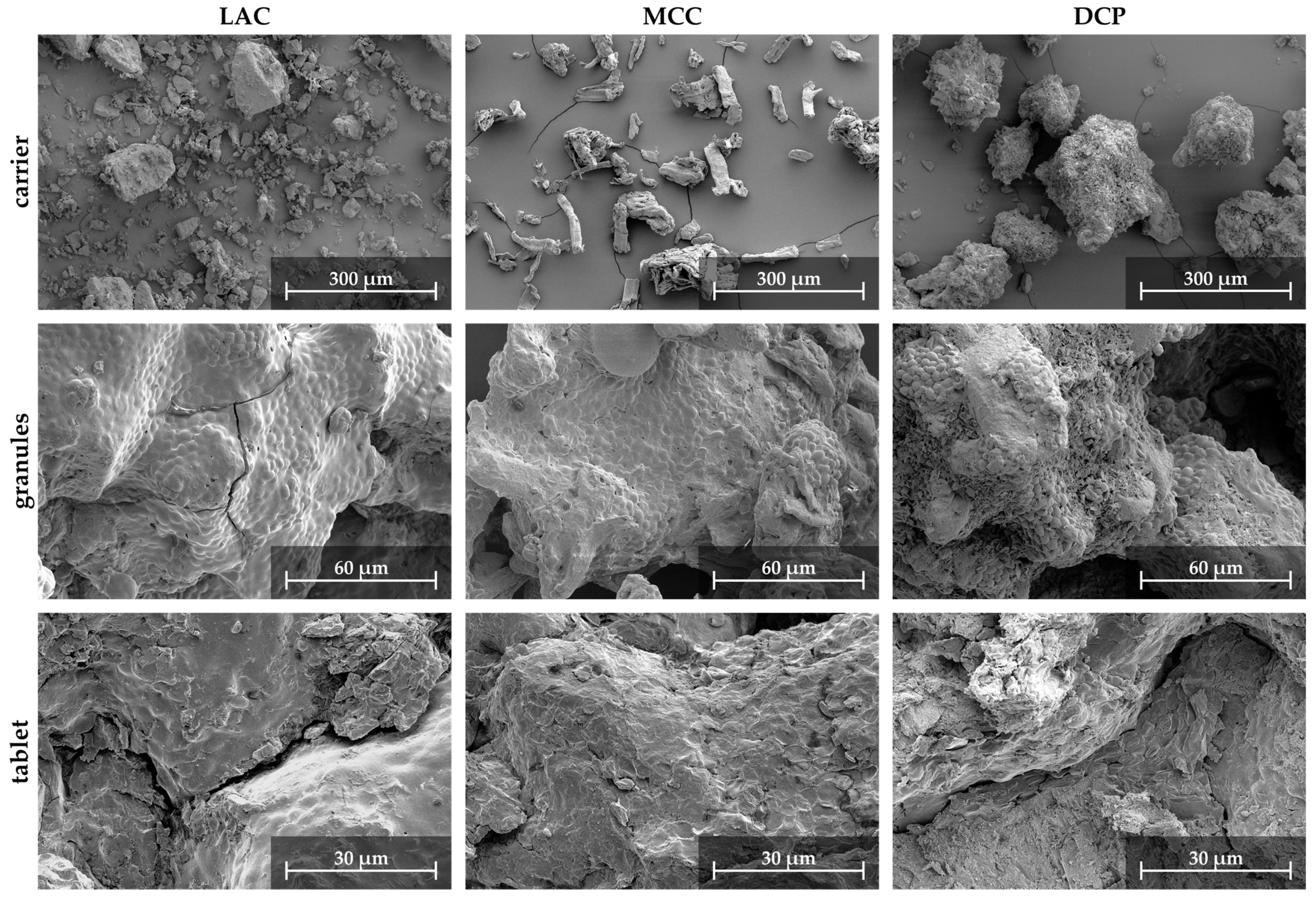 Pharmaceutics 15 00884 g009 Pharmaceutics 15 00884 g009