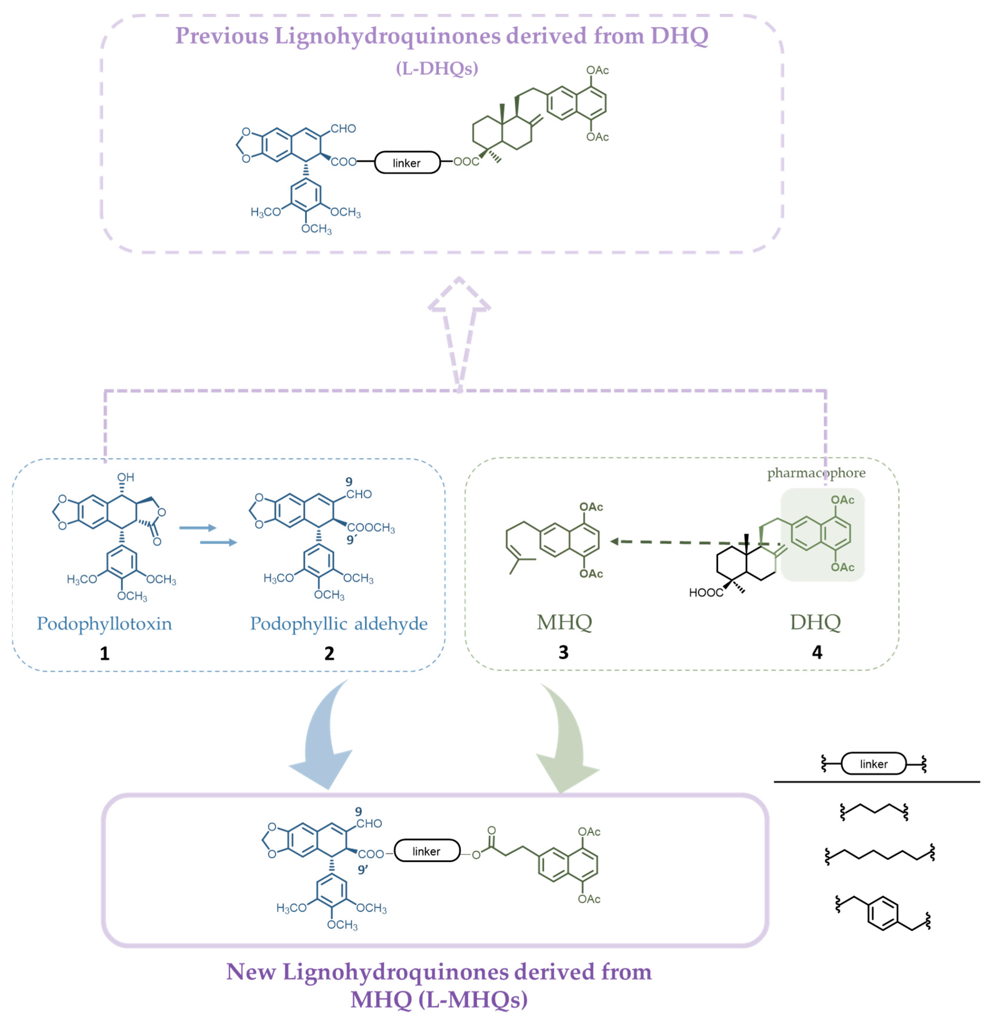 Pharmaceutics 15 00886 g002