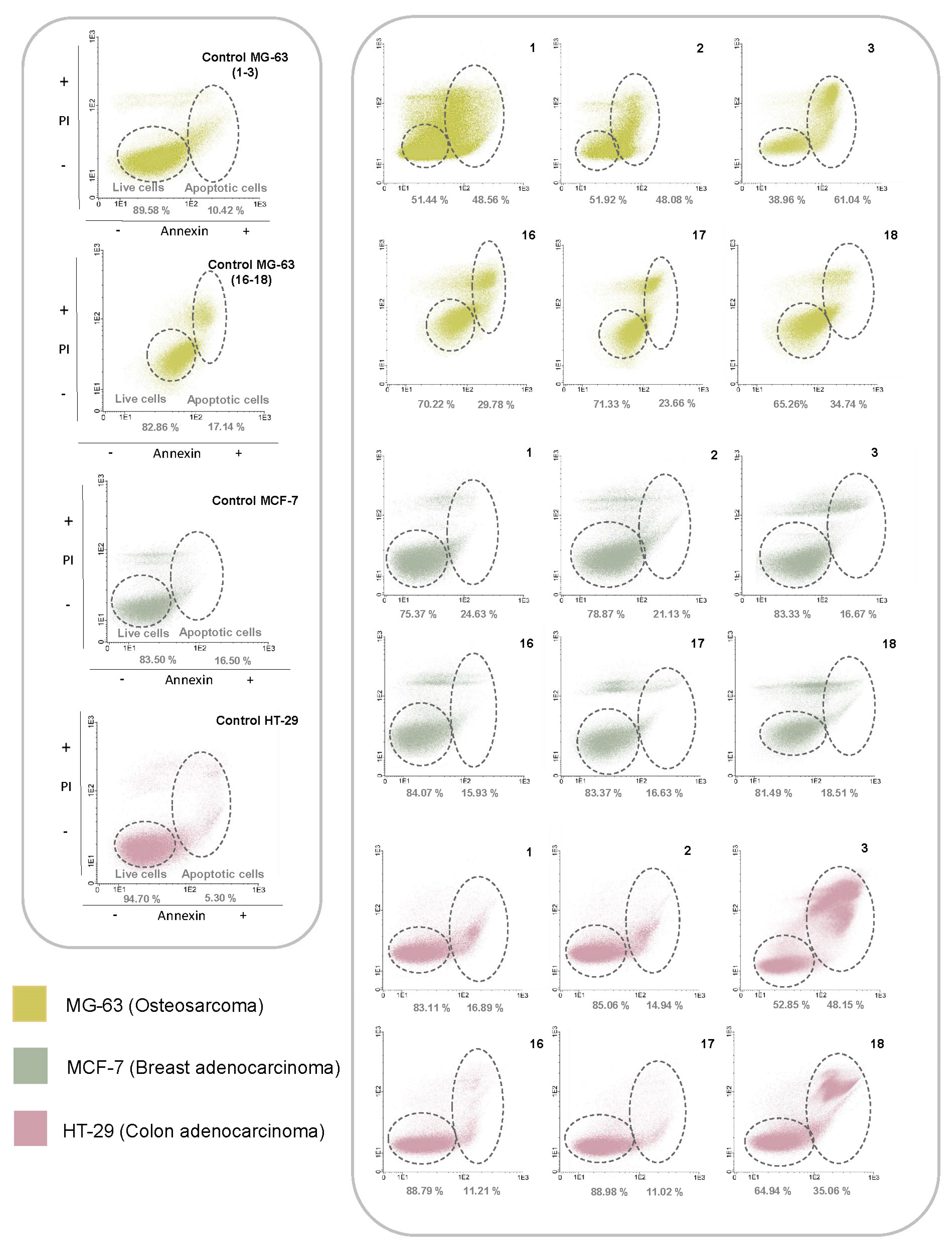 Pharmaceutics 15 00886 g003