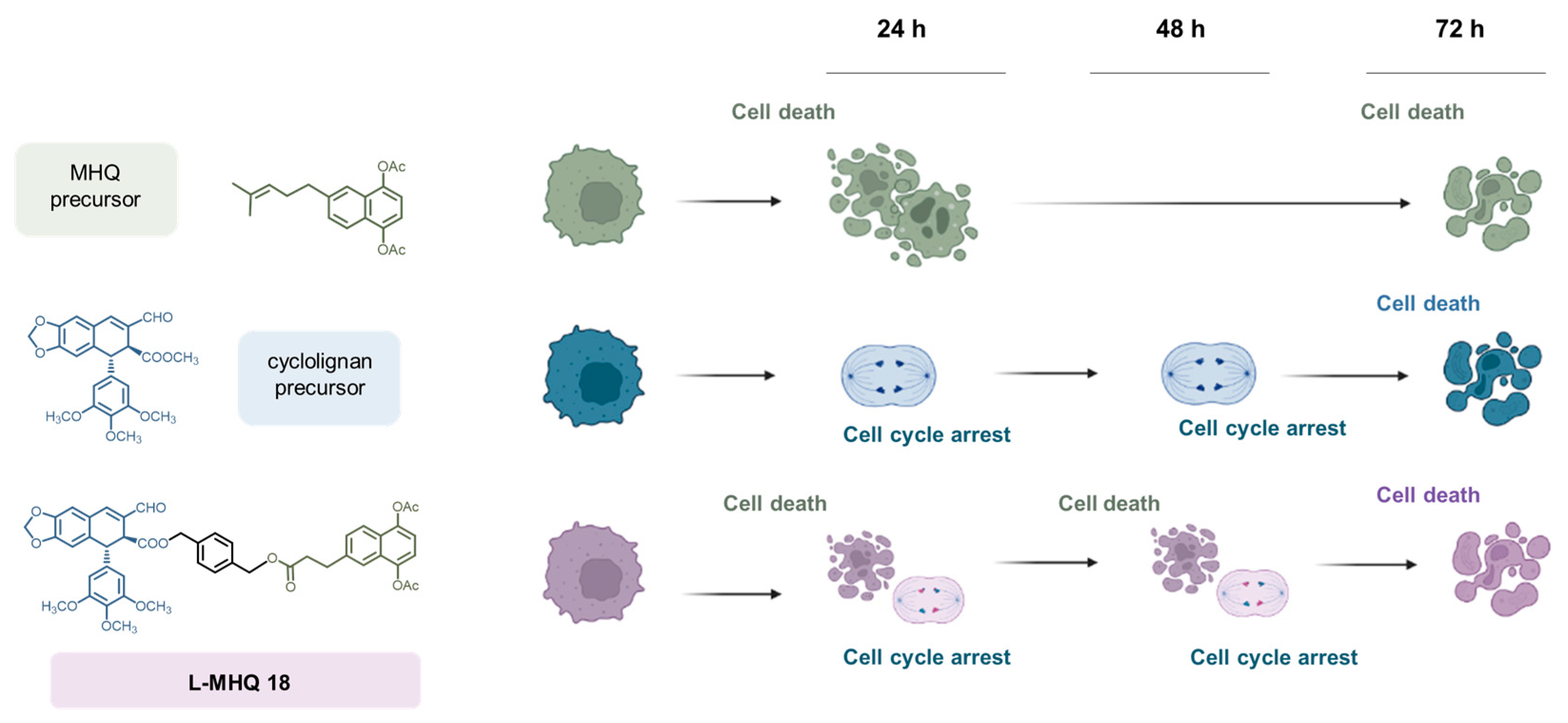 Pharmaceutics 15 00886 g006