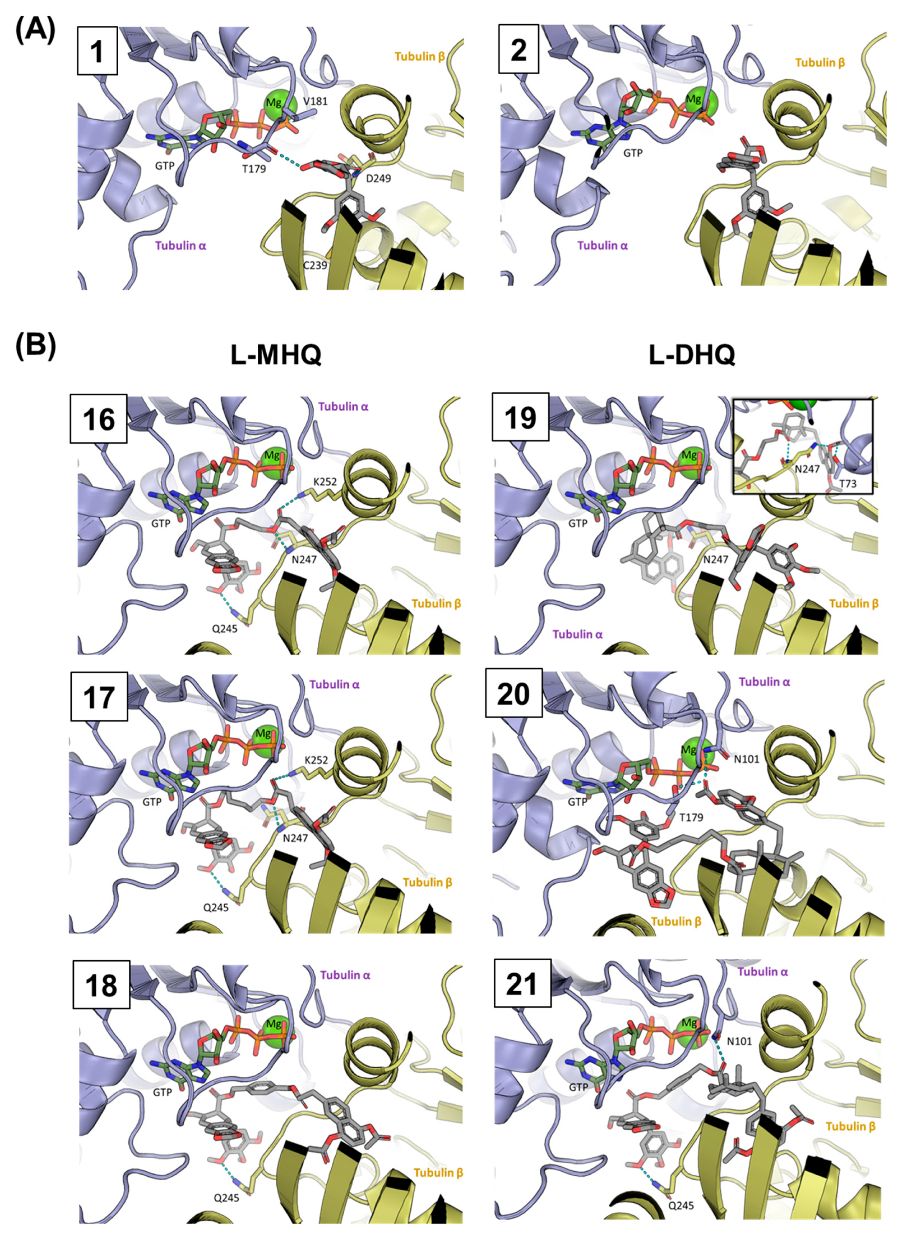 Pharmaceutics 15 00886 g008