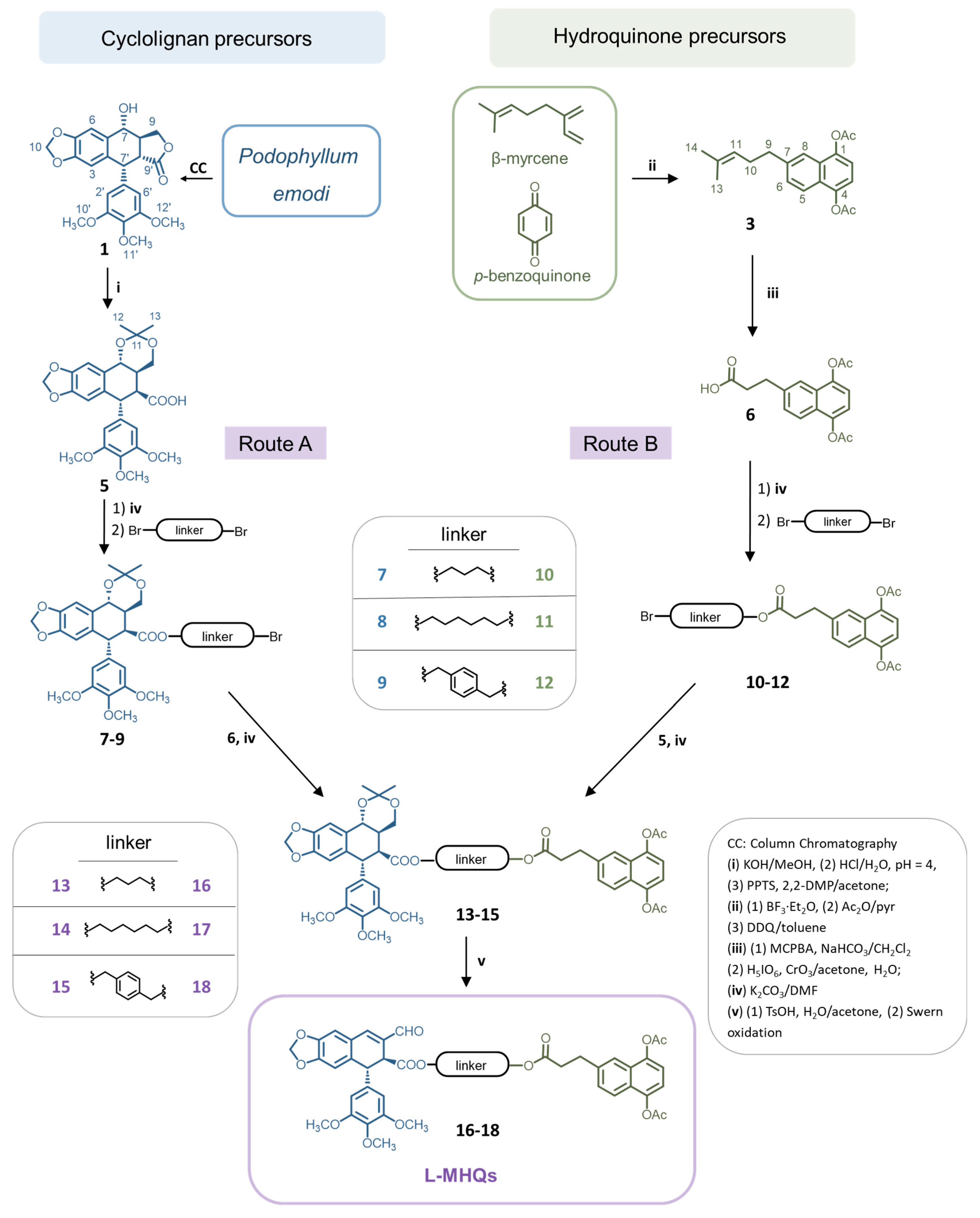 Pharmaceutics 15 00886 sch001