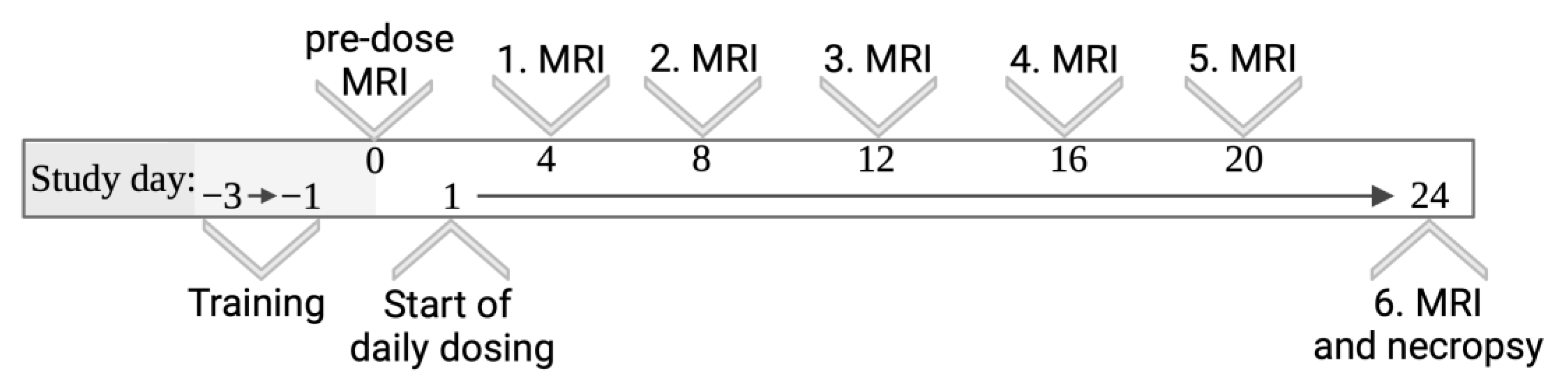 Pharmaceutics 15 00887 g001