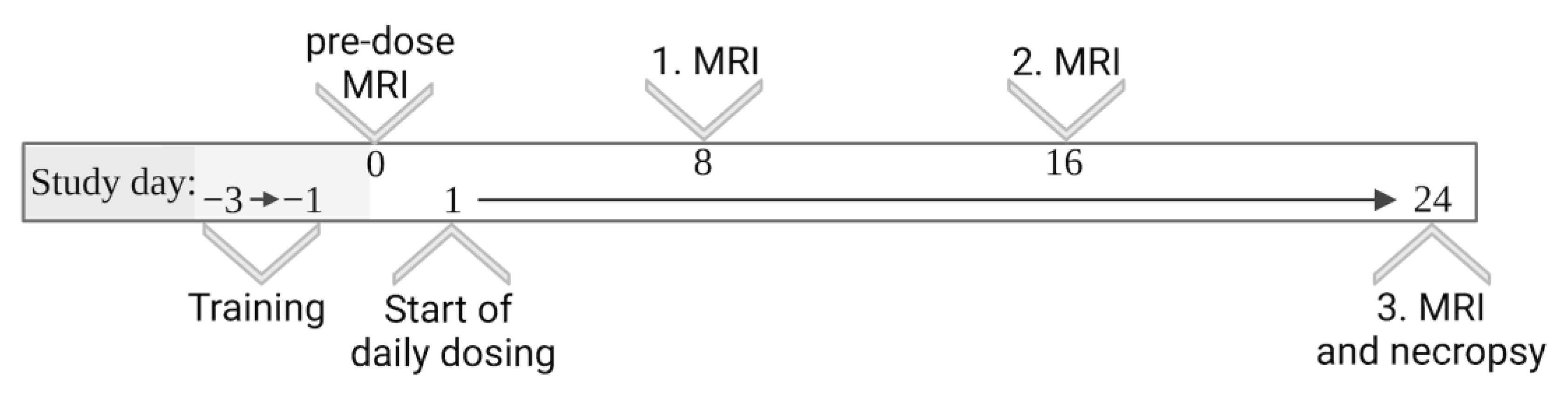 Pharmaceutics 15 00887 g002