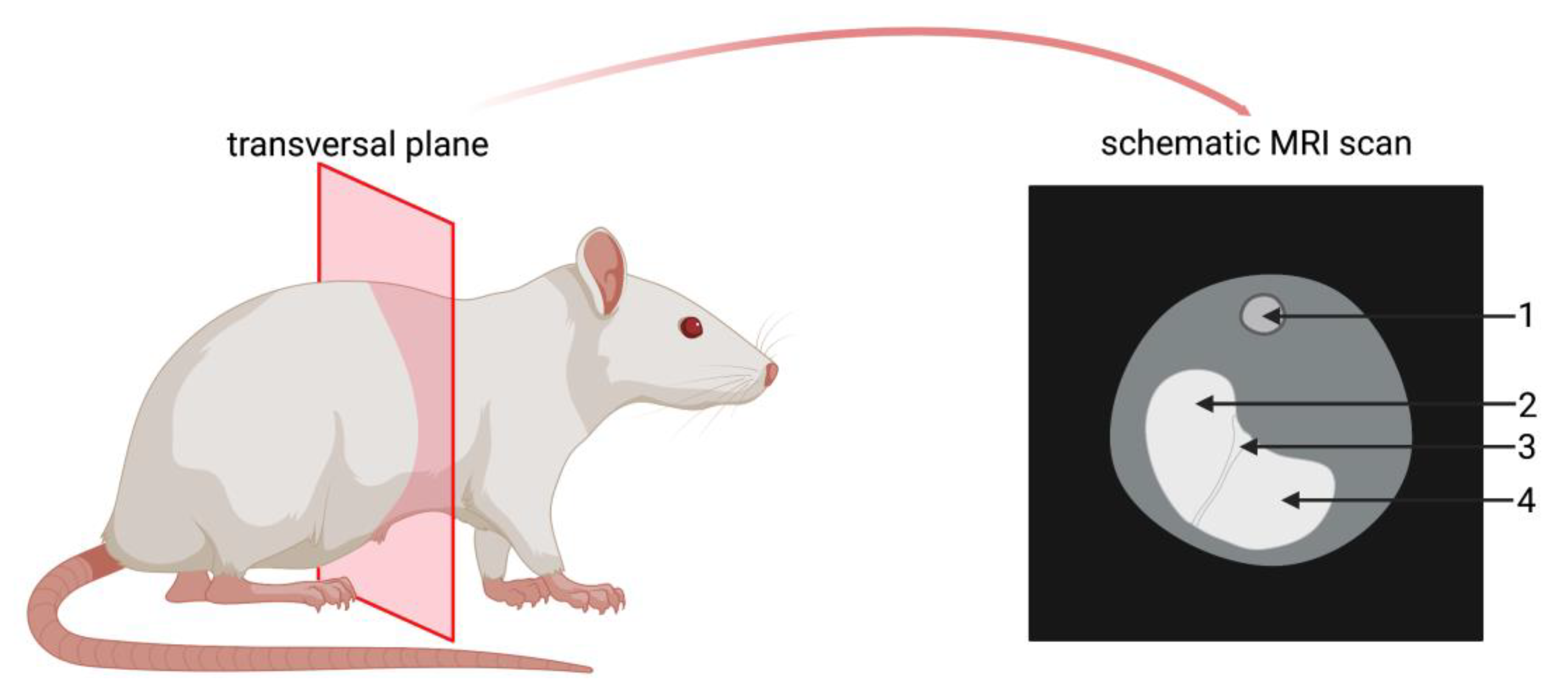 Pharmaceutics 15 00887 g003