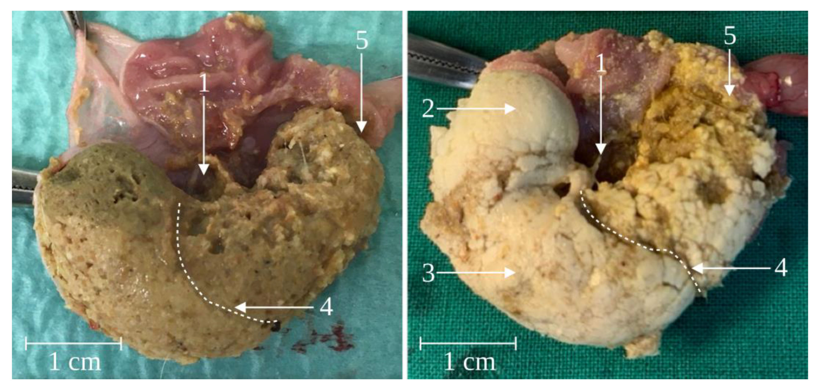 Pharmaceutics 15 00887 g005