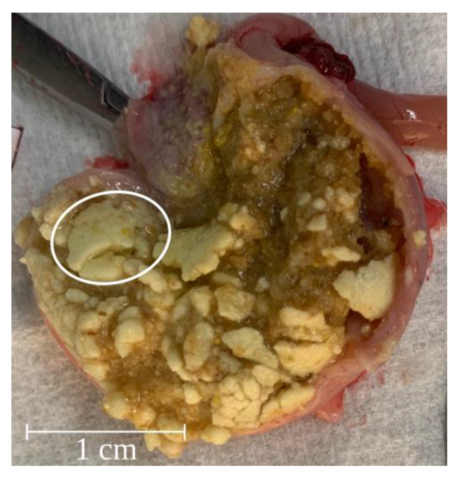 Pharmaceutics 15 00887 g007