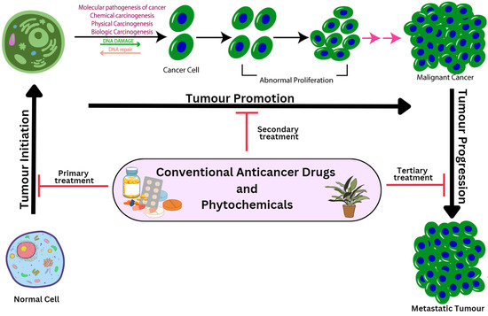 Codelivery of Phytochemicals with Conventional Anticancer Drugs in Form ...