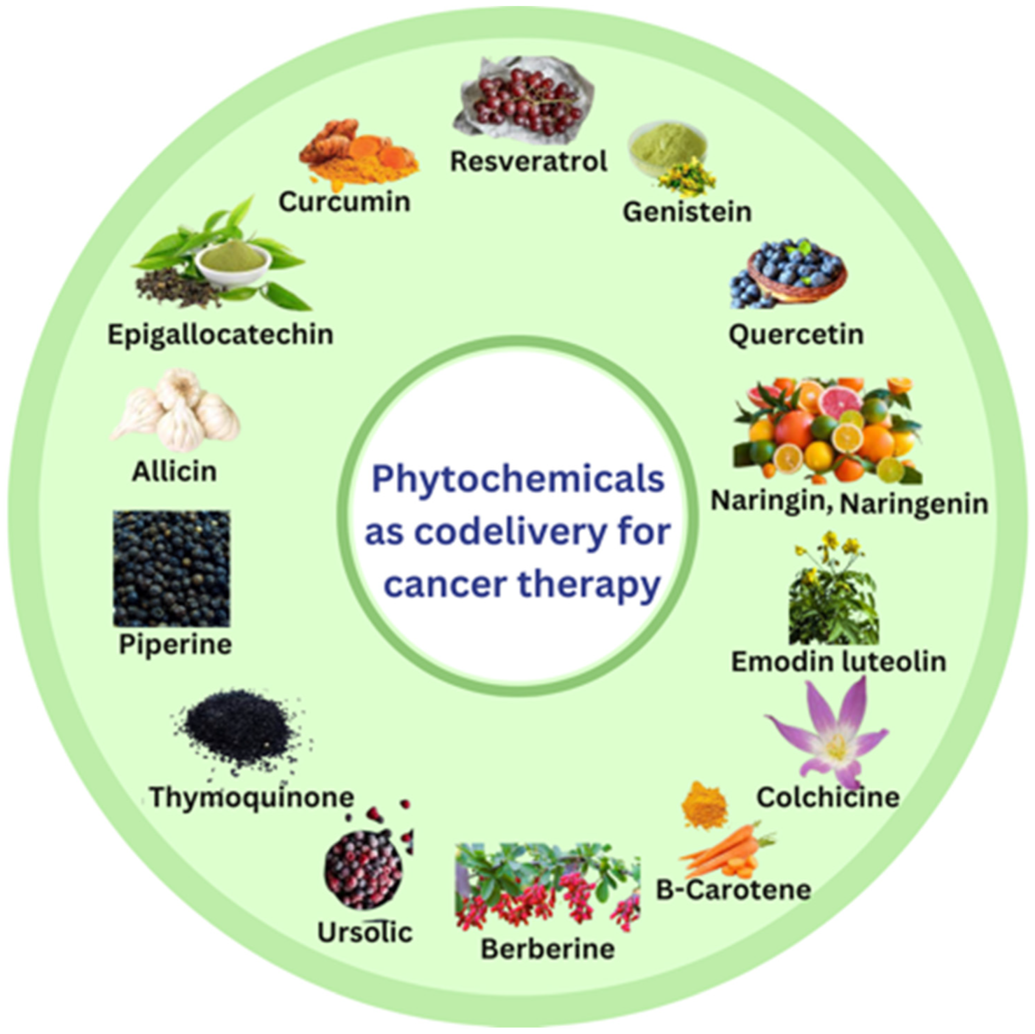 Pharmaceutics 15 00889 g004