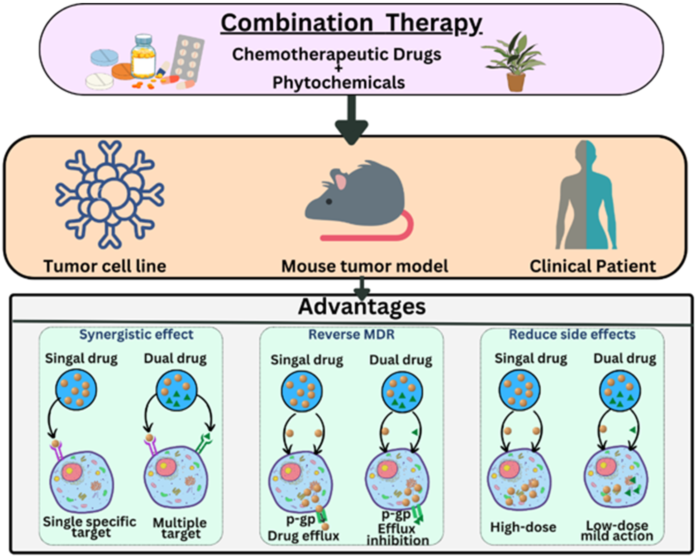 Pharmaceutics 15 00889 g005