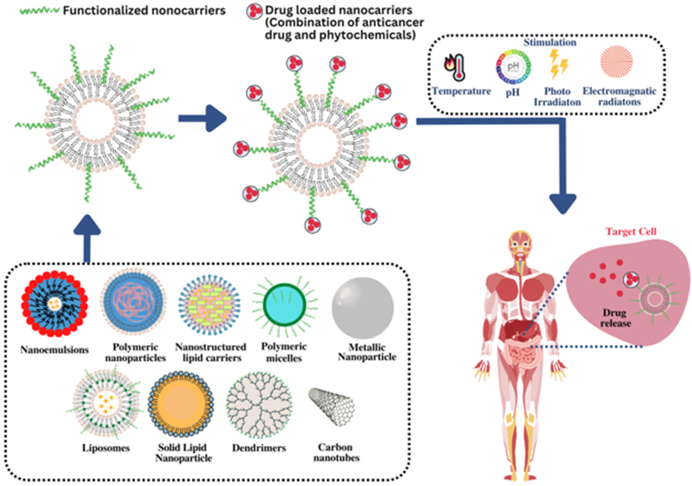 Pharmaceutics 15 00889 g006