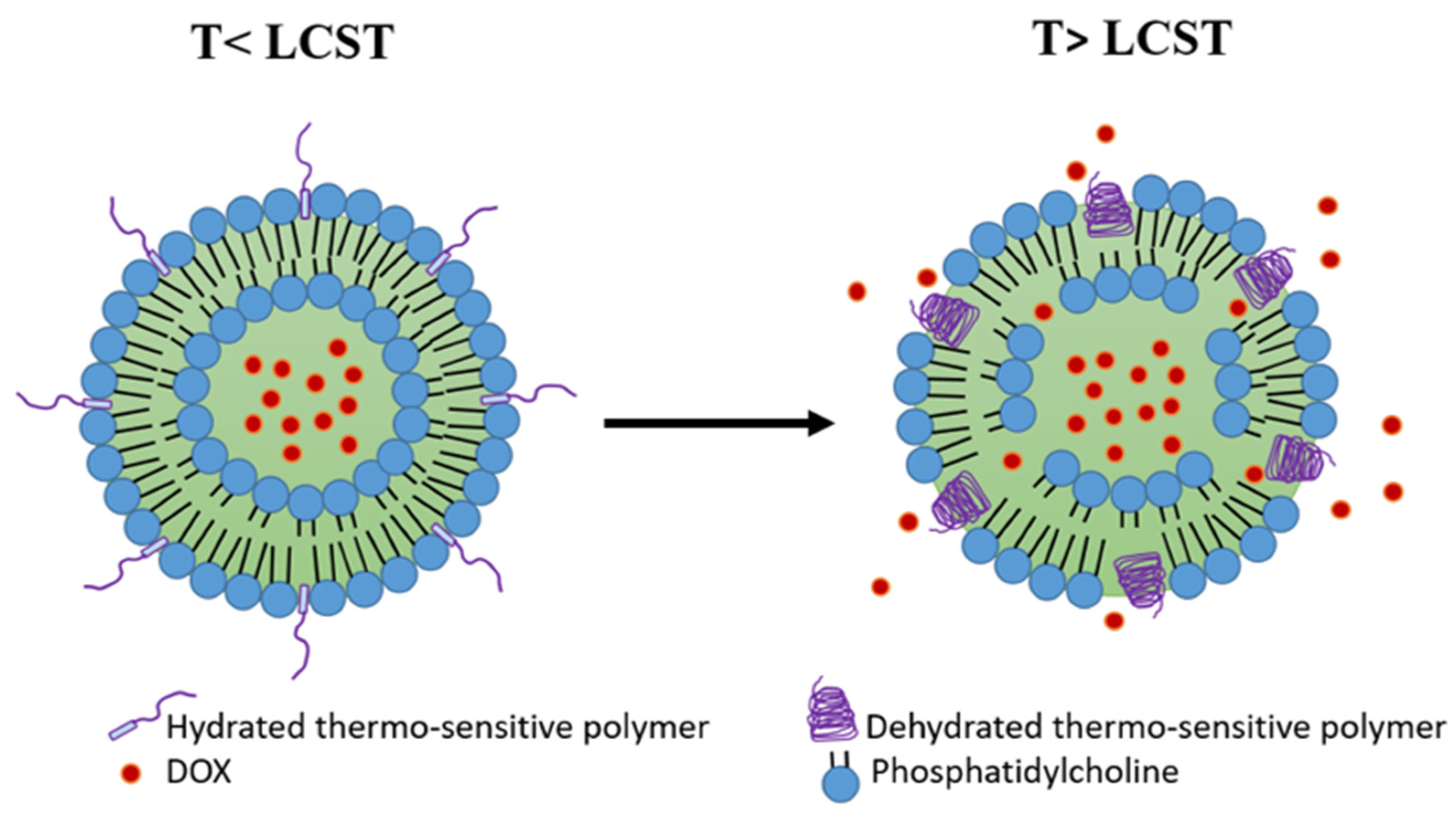 Pharmaceutics 15 00893 g005 Pharmaceutics 15 00893 g005