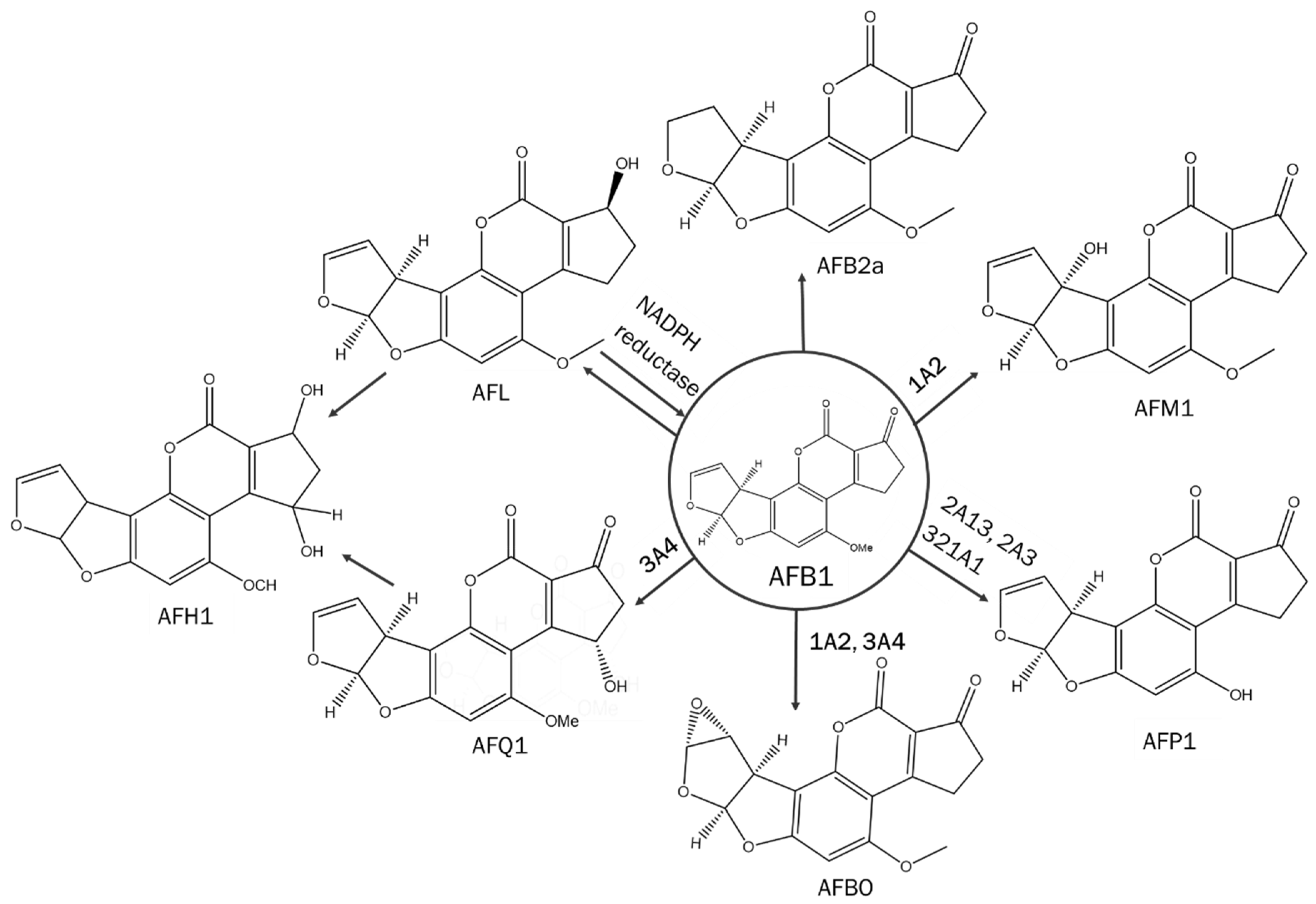 Pharmaceutics 15 00894 g001 Pharmaceutics 15 00894 g001