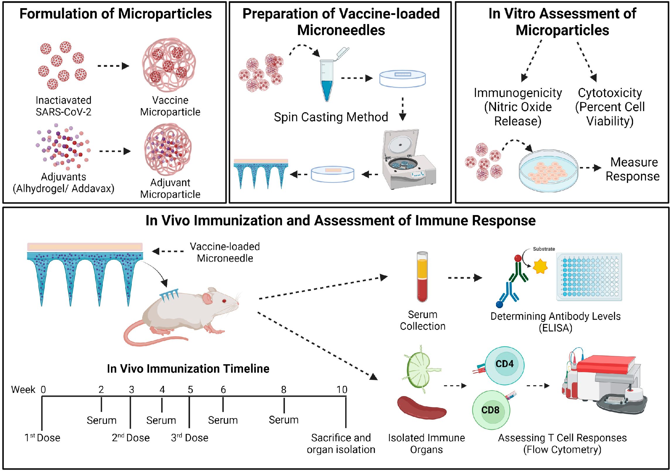 Pharmaceutics 15 00895 g001 Pharmaceutics 15 00895 g001