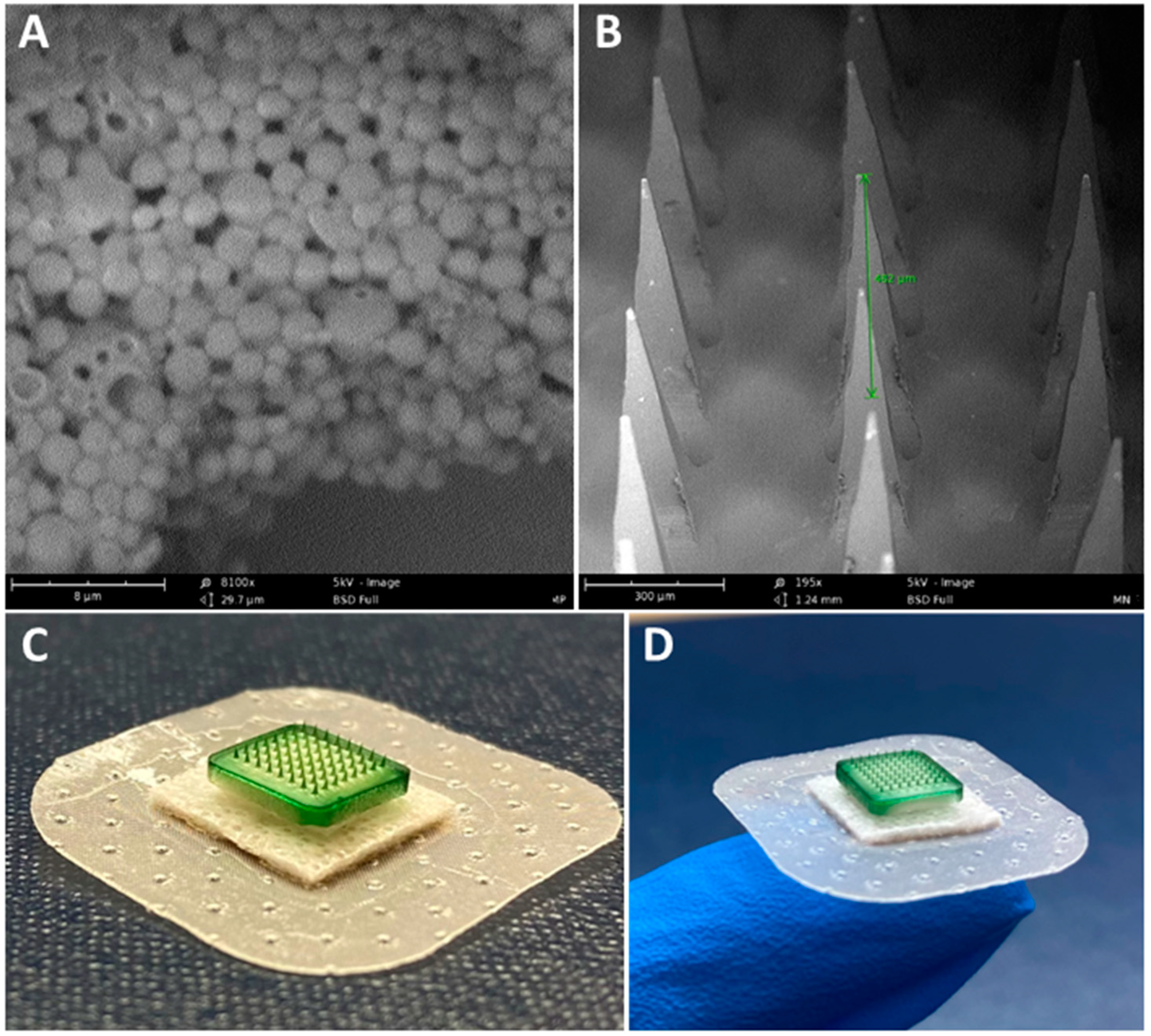 Pharmaceutics 15 00895 g002 Pharmaceutics 15 00895 g002