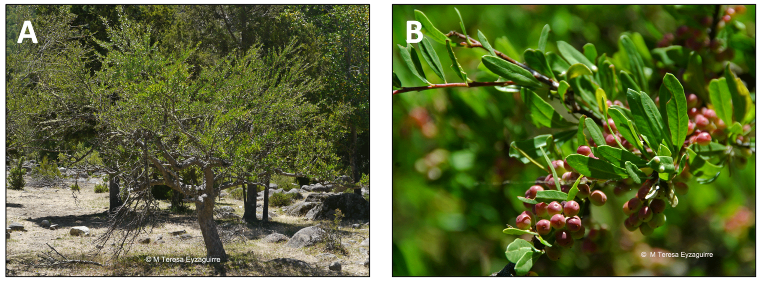 Pharmaceutics 15 00897 g004 Pharmaceutics 15 00897 g004