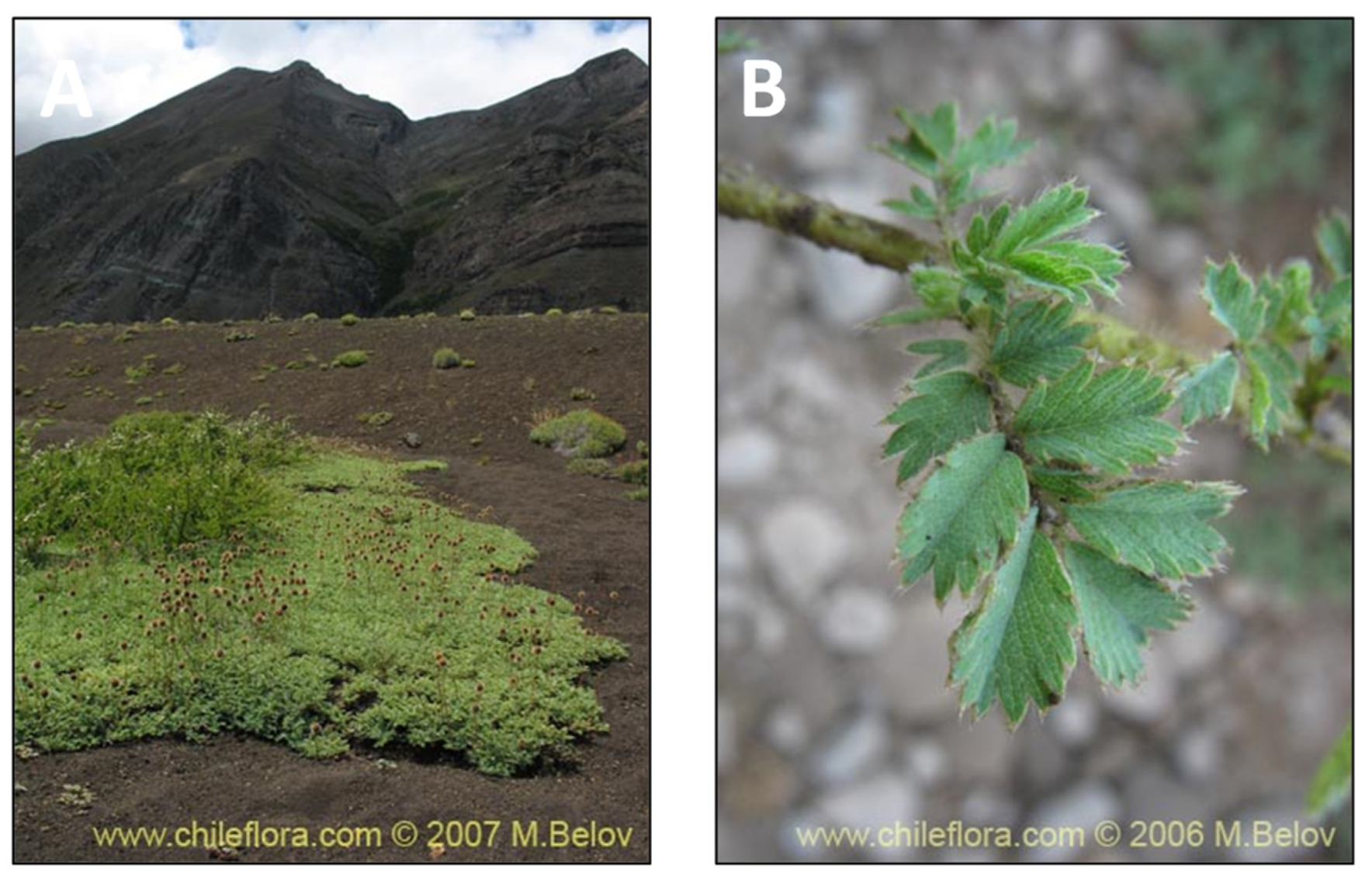Pharmaceutics 15 00897 g006 Pharmaceutics 15 00897 g006