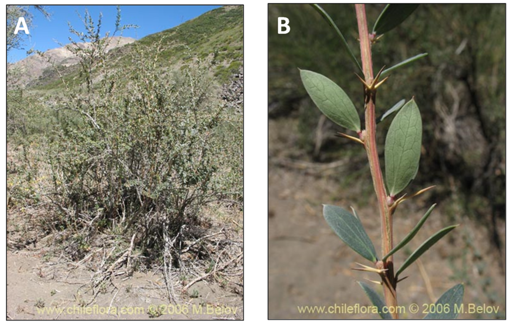 Pharmaceutics 15 00897 g007 Pharmaceutics 15 00897 g007