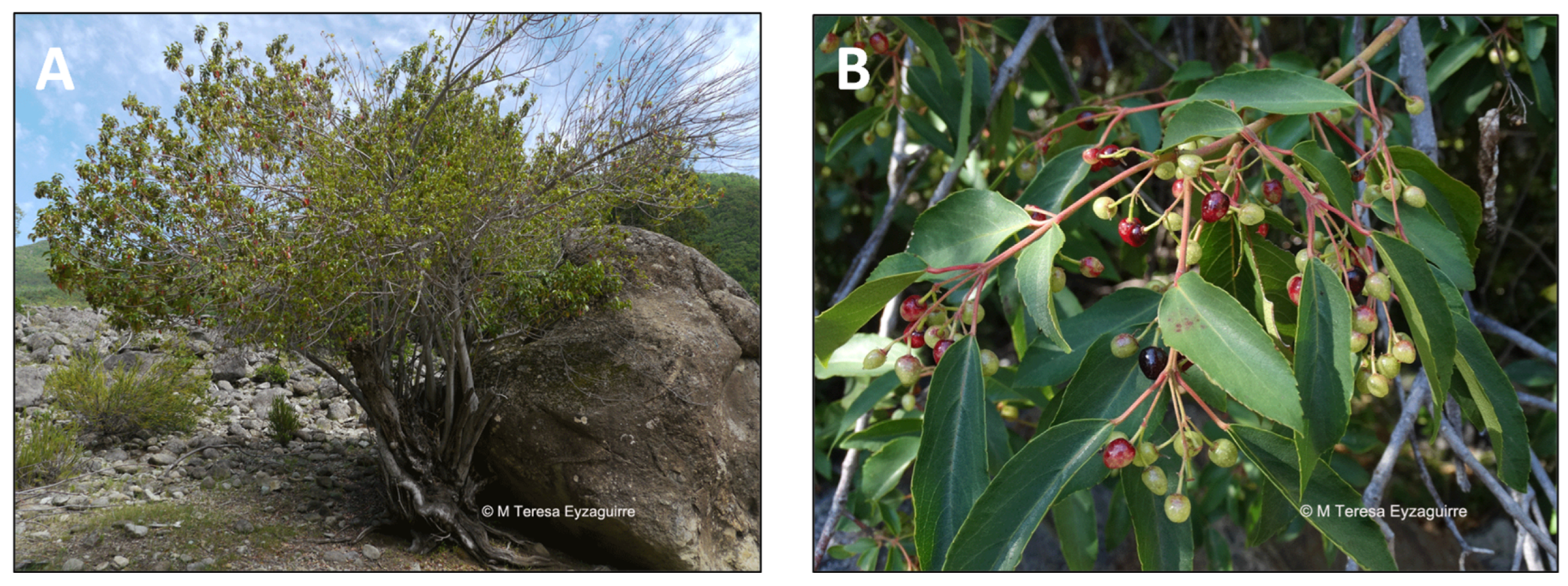 Pharmaceutics 15 00897 g008 Pharmaceutics 15 00897 g008