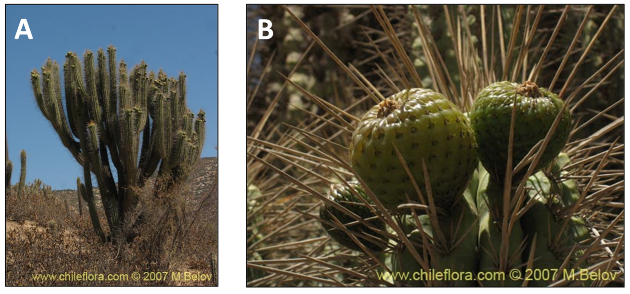 Pharmaceutics 15 00897 g010 Pharmaceutics 15 00897 g010