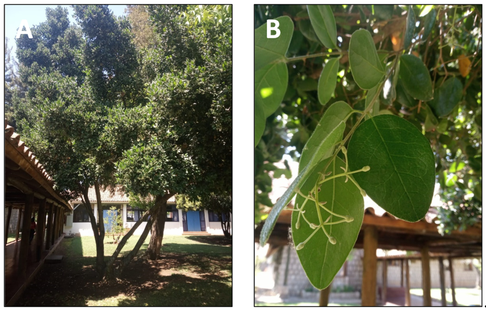 Pharmaceutics 15 00897 g014 Pharmaceutics 15 00897 g014