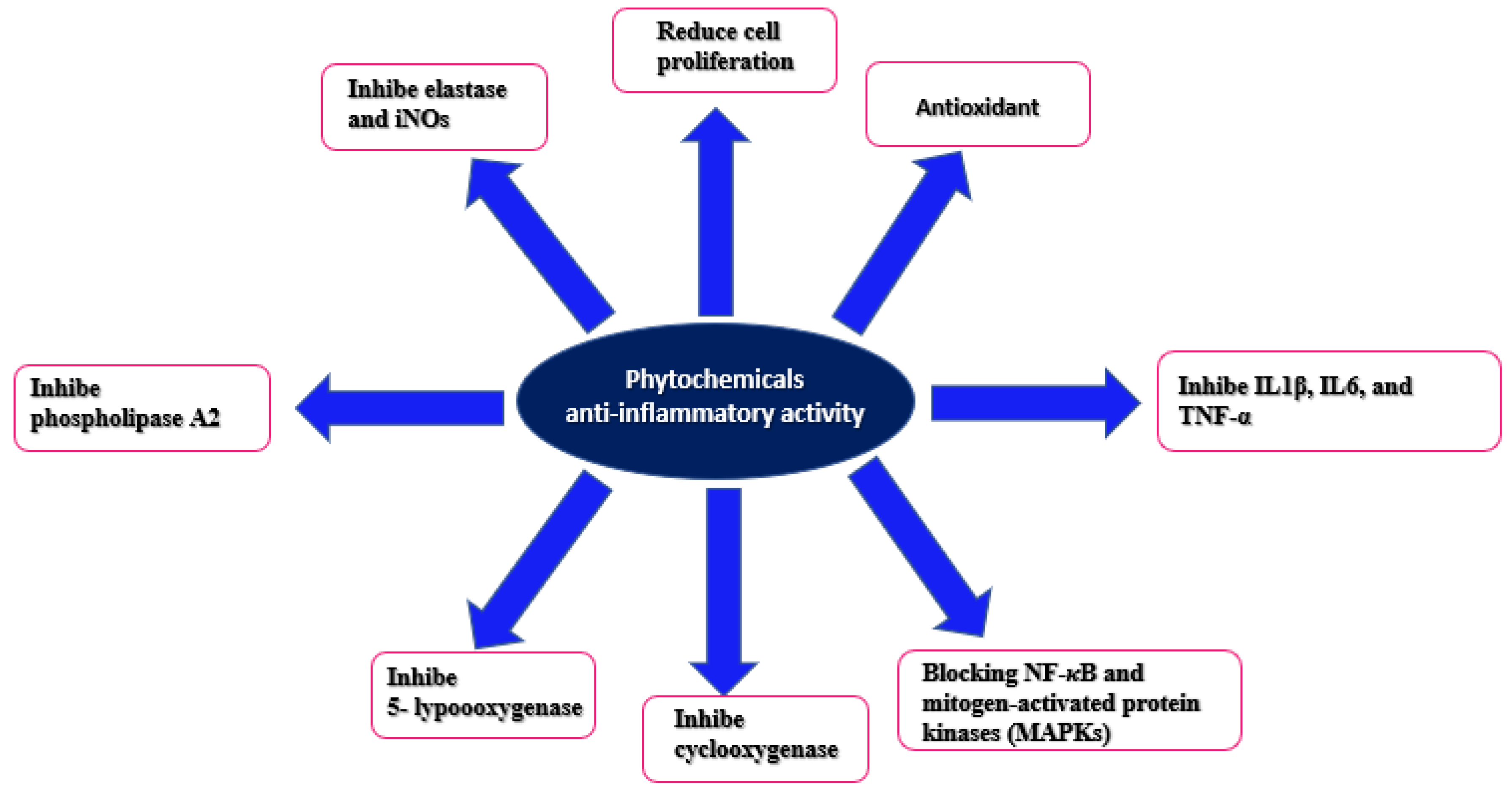 Pharmaceutics 15 00897 g015 Pharmaceutics 15 00897 g015