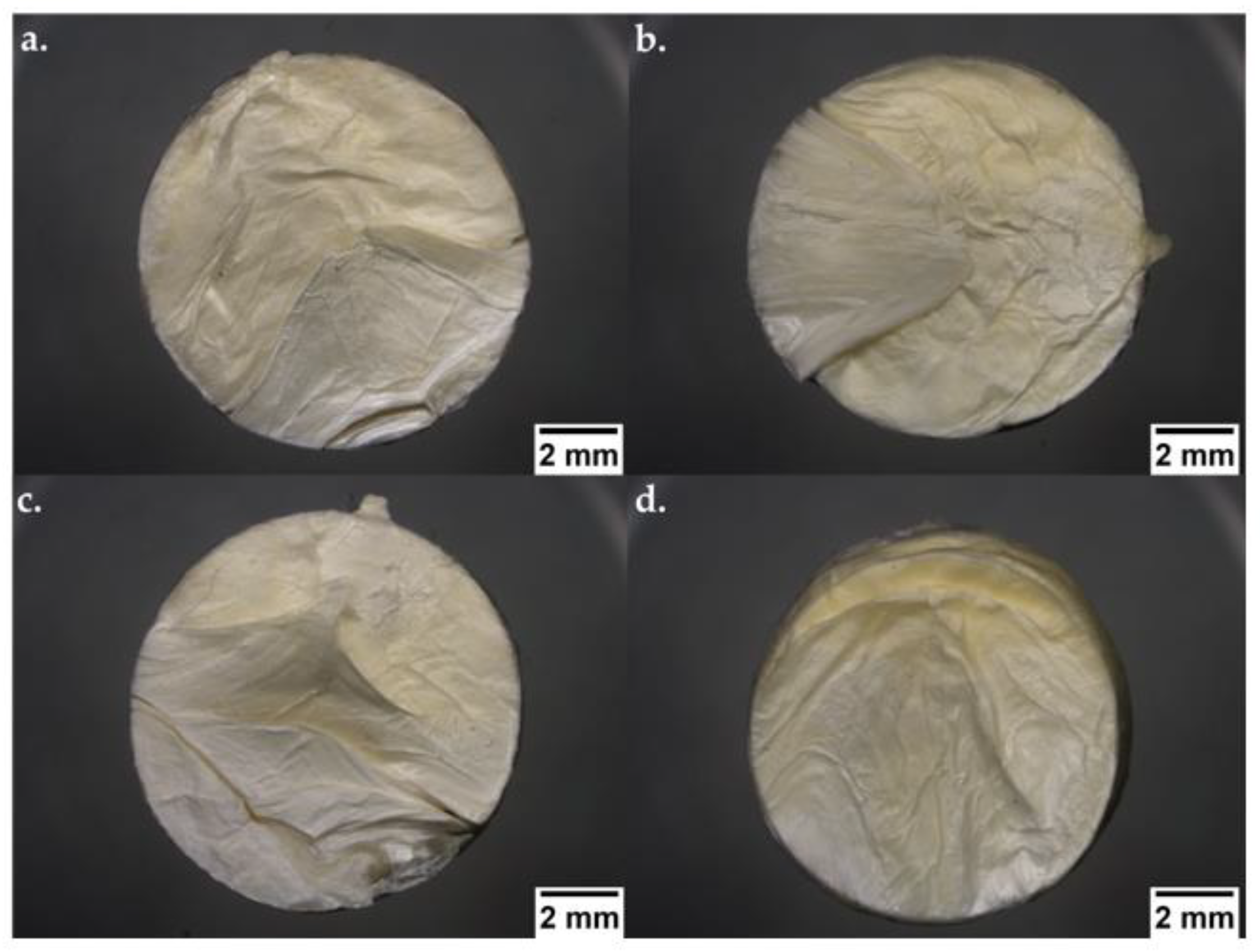 Pharmaceutics 15 00900 g010 Pharmaceutics 15 00900 g010