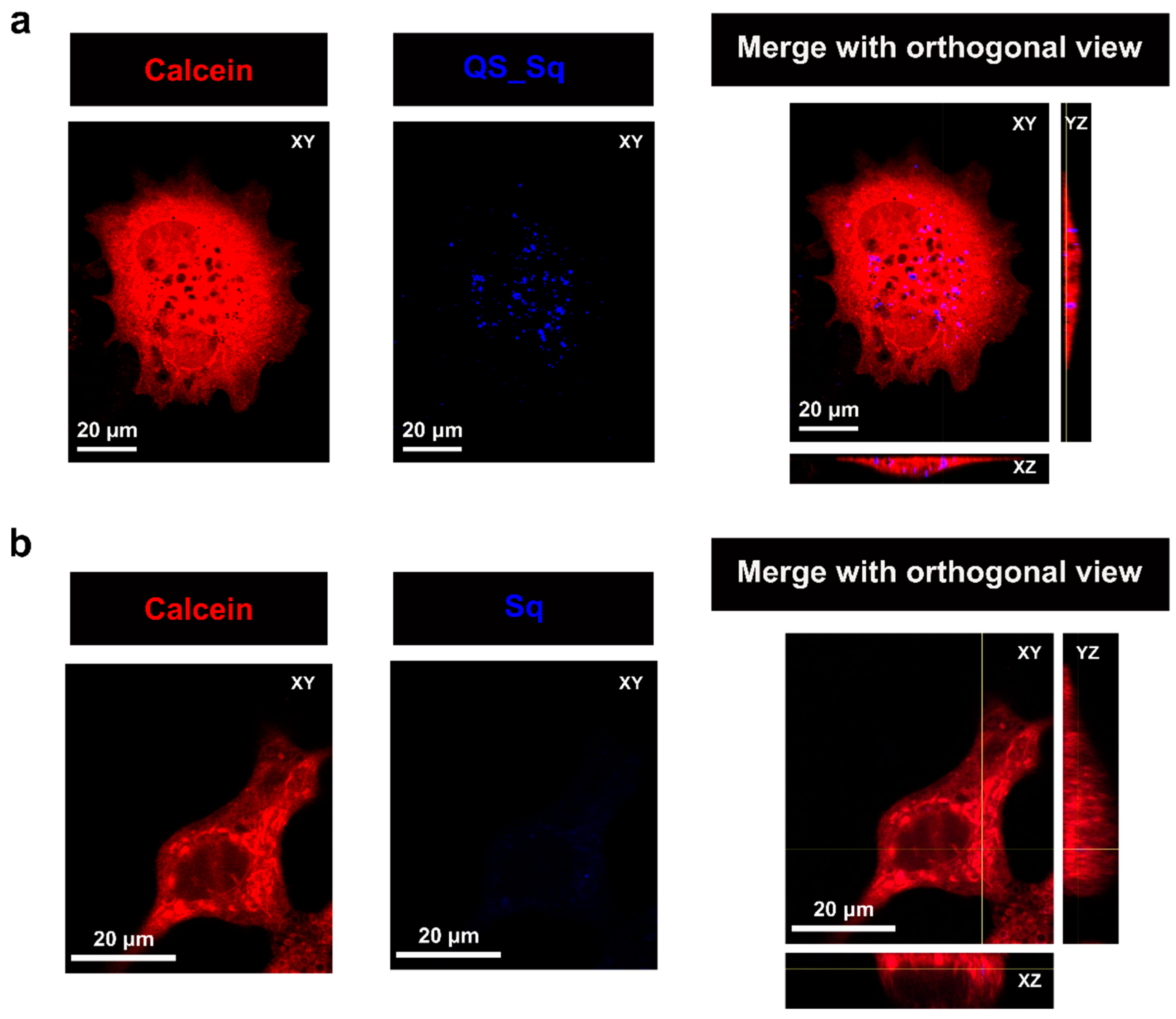 Pharmaceutics 15 00902 g008