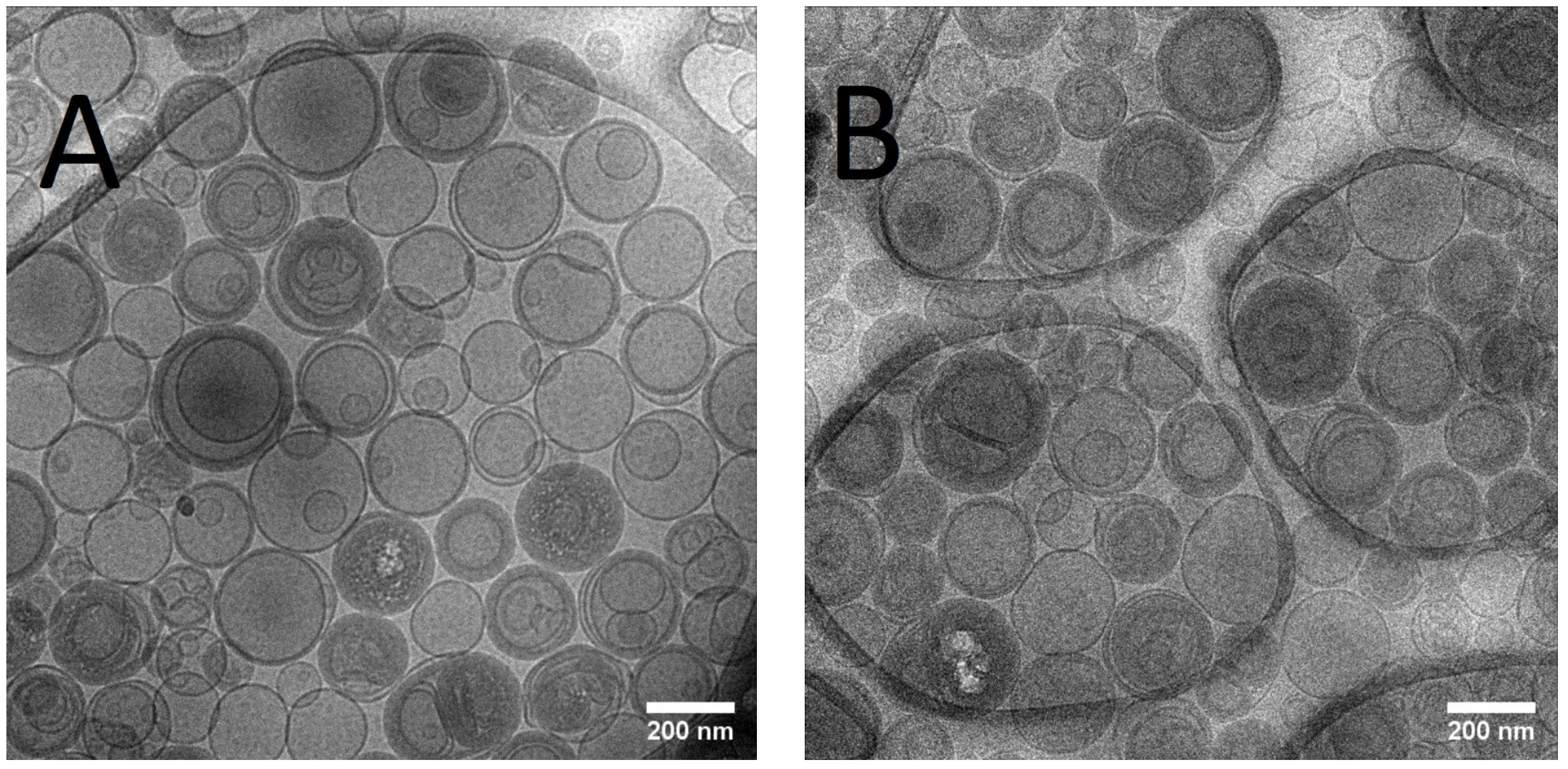 Pharmaceutics 15 00904 g001 Pharmaceutics 15 00904 g001