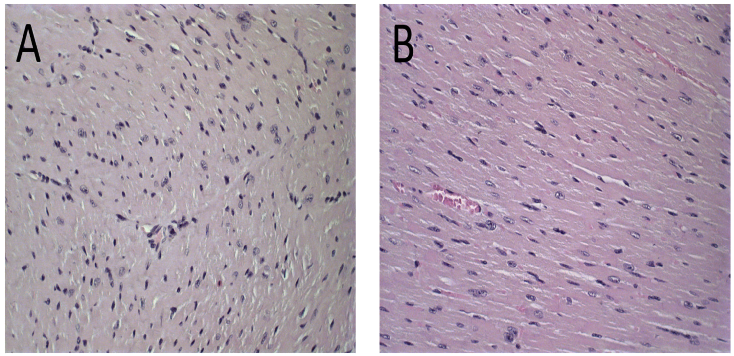 Pharmaceutics 15 00904 g006a Pharmaceutics 15 00904 g006a