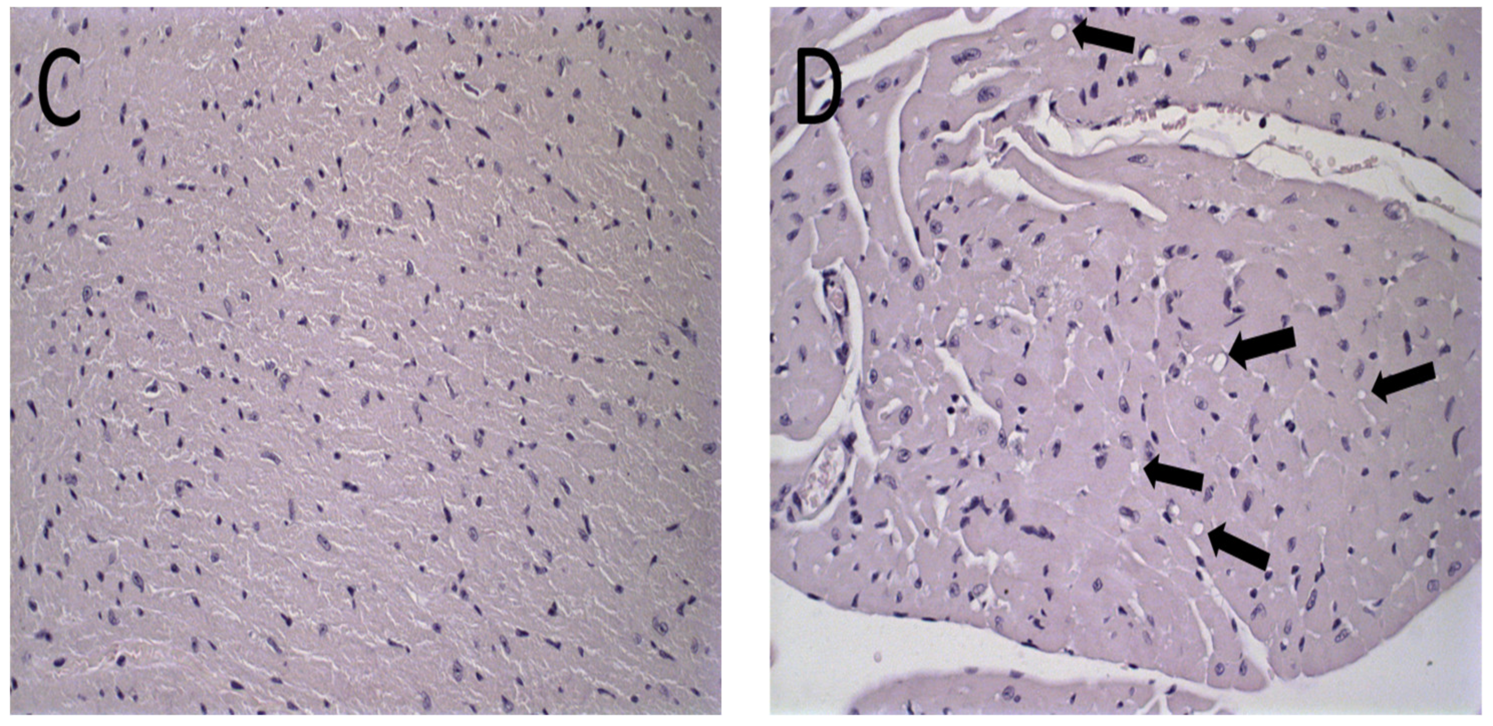 Pharmaceutics 15 00904 g006b Pharmaceutics 15 00904 g006b