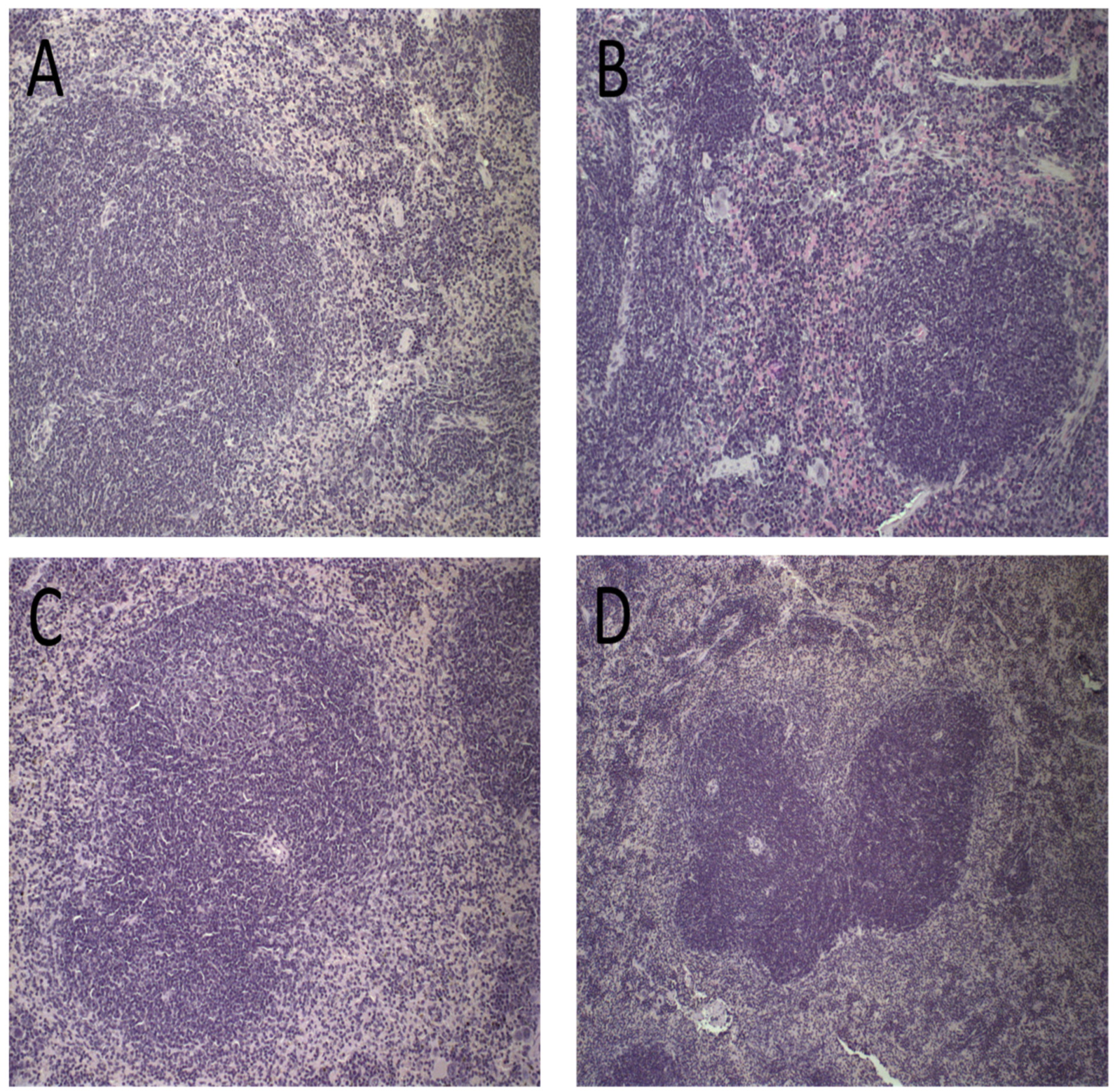Pharmaceutics 15 00904 g007 Pharmaceutics 15 00904 g007
