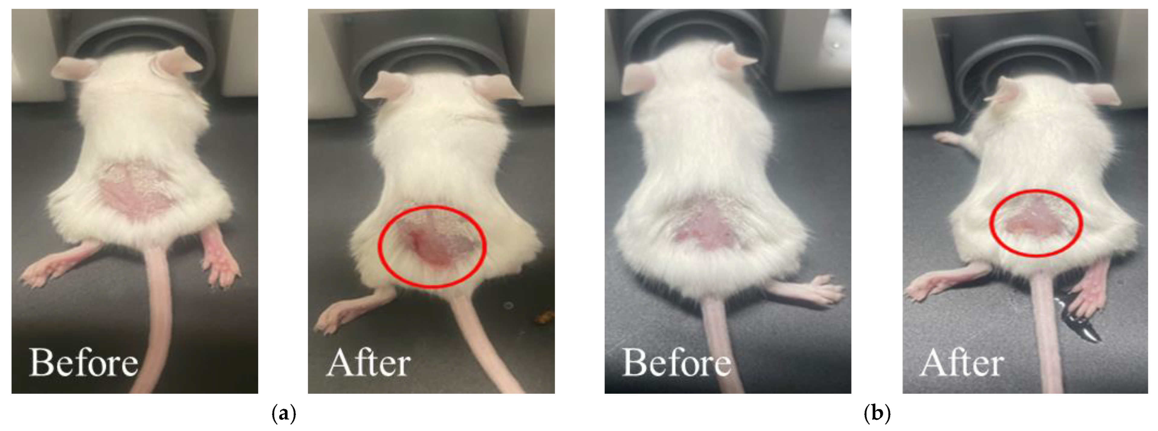 Pharmaceutics 15 00911 g002 Pharmaceutics 15 00911 g002