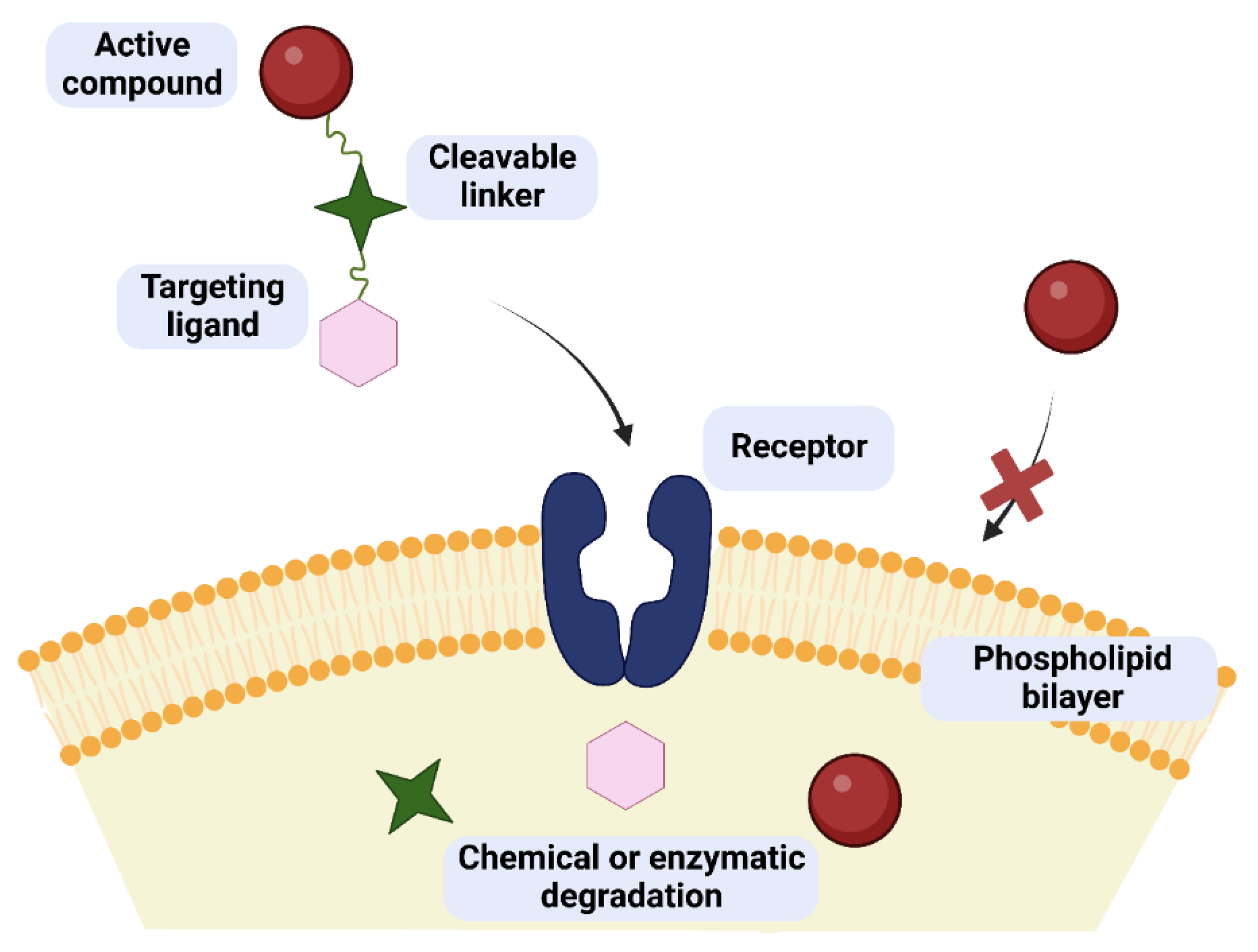 Pharmaceutics 15 00913 g001 550