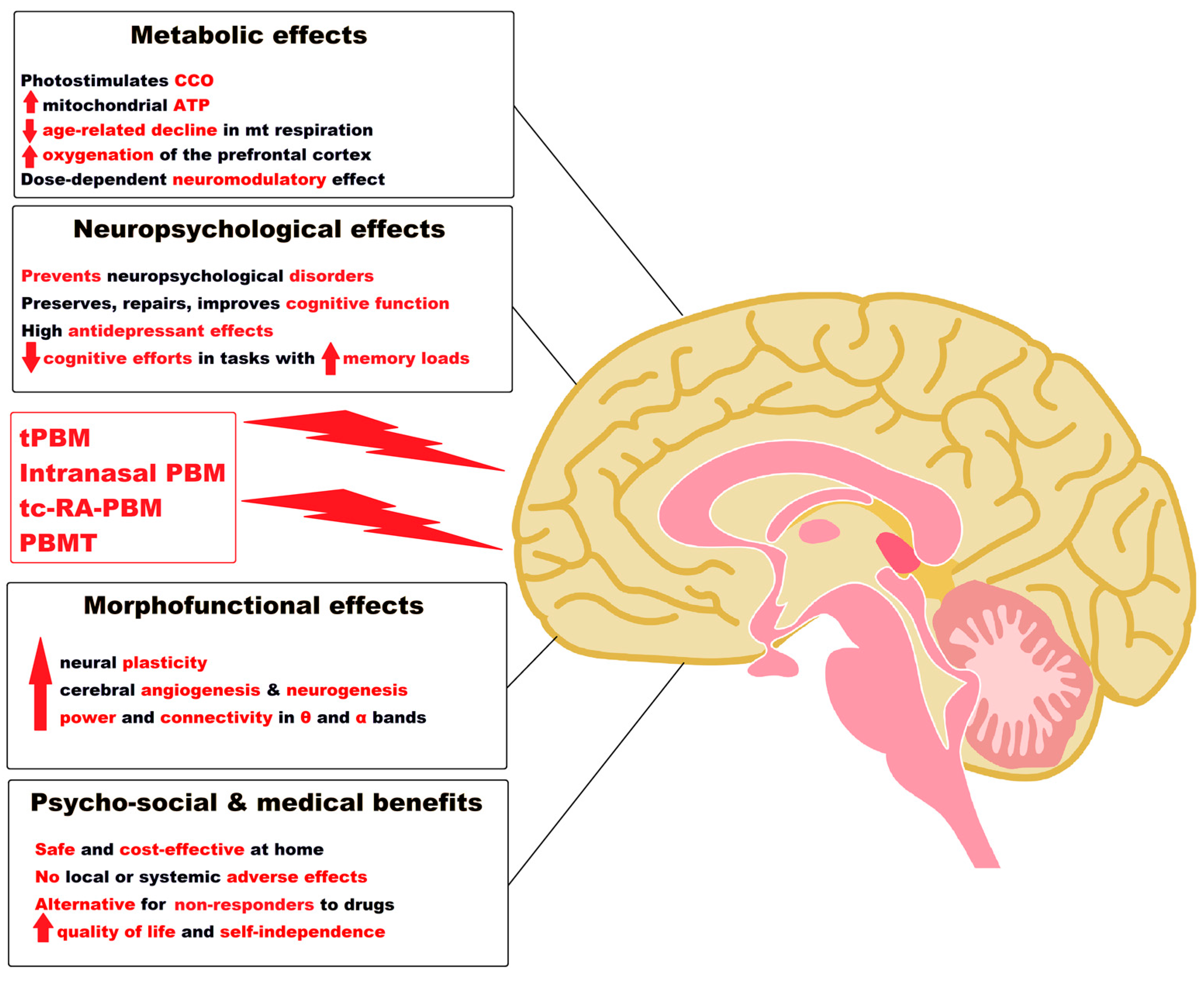 Pharmaceutics 15 00916 g002 Pharmaceutics 15 00916 g002