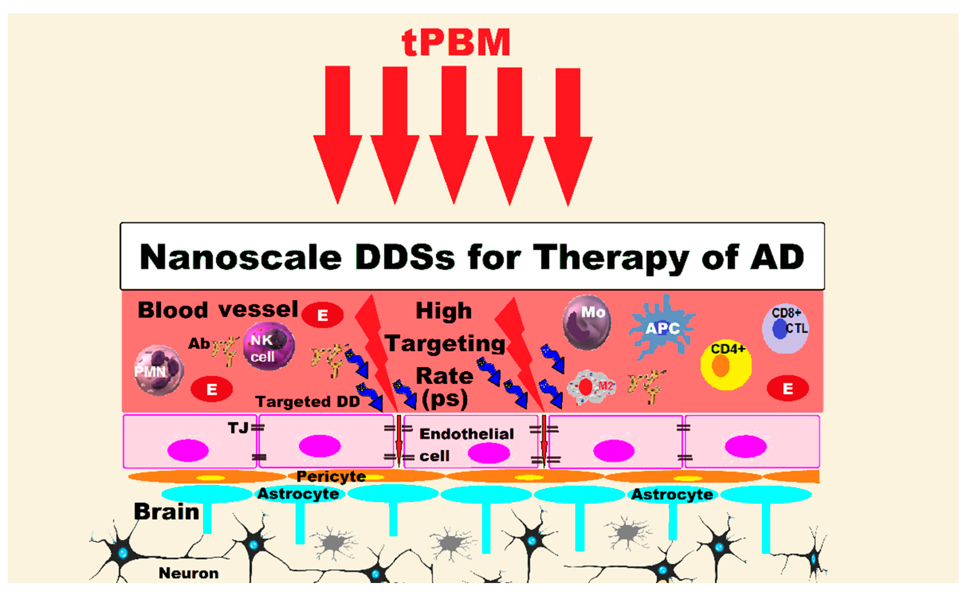 Pharmaceutics 15 00916 g003 Pharmaceutics 15 00916 g003