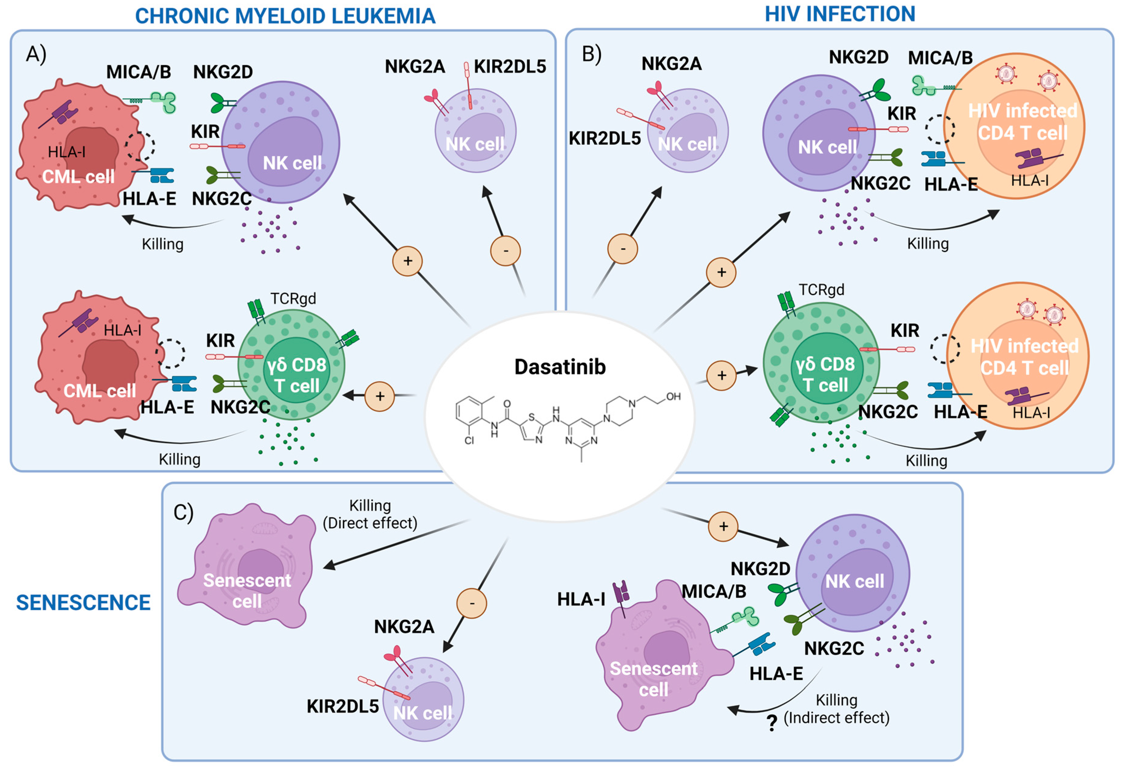 Pharmaceutics 15 00917 g001