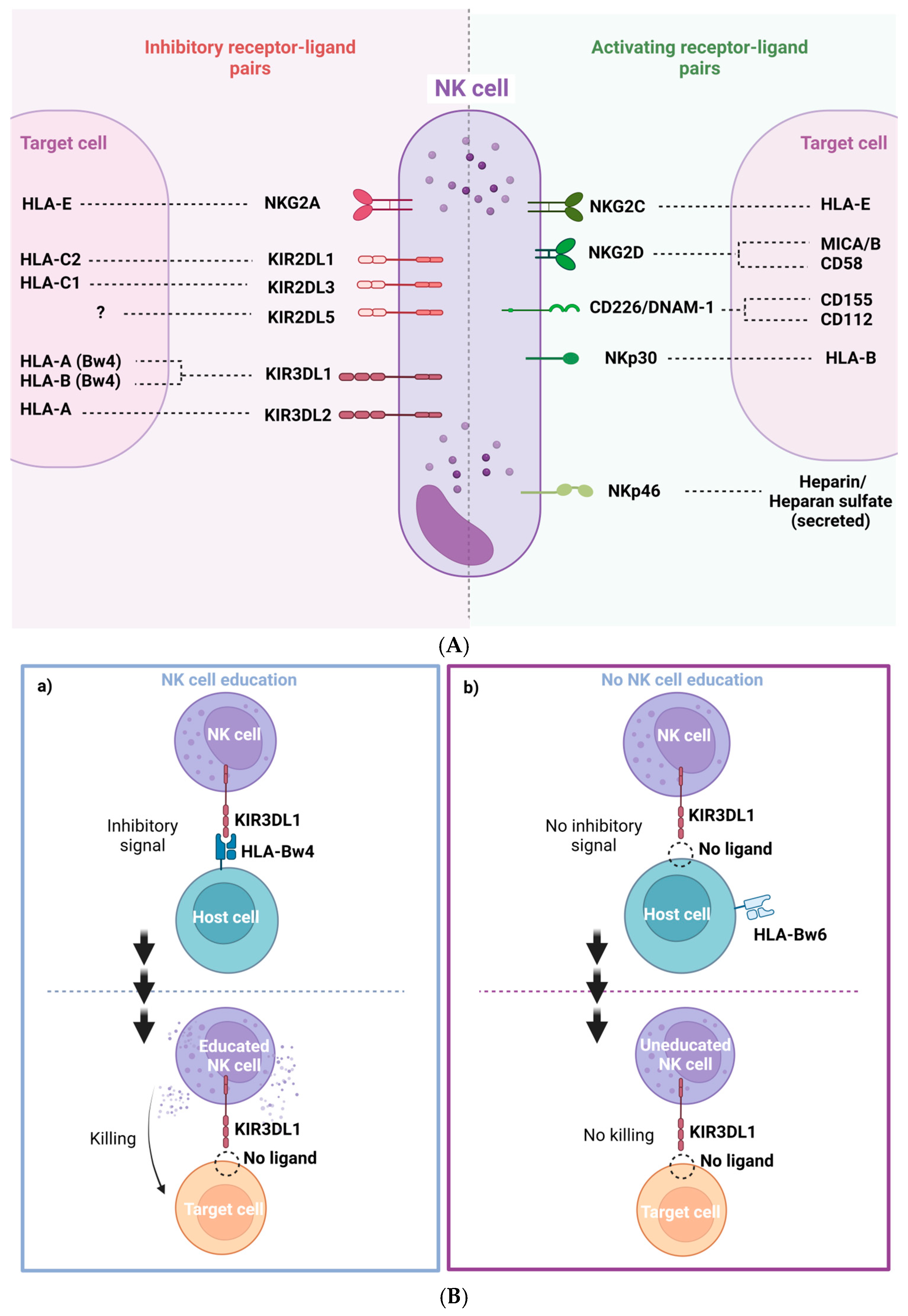 Pharmaceutics 15 00917 g002a