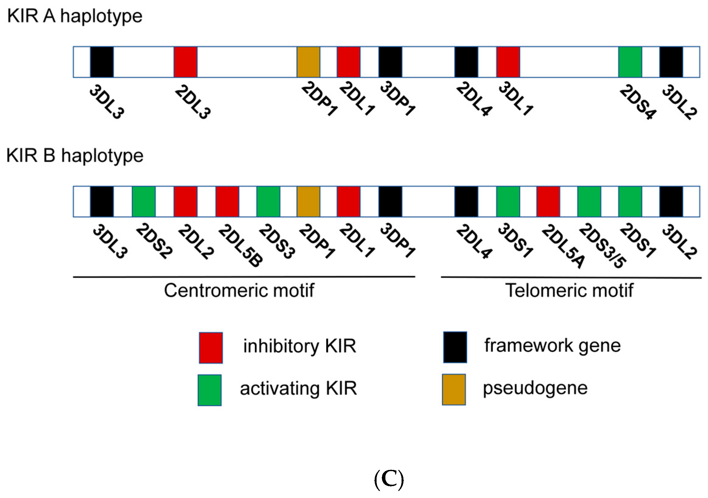 Pharmaceutics 15 00917 g002b