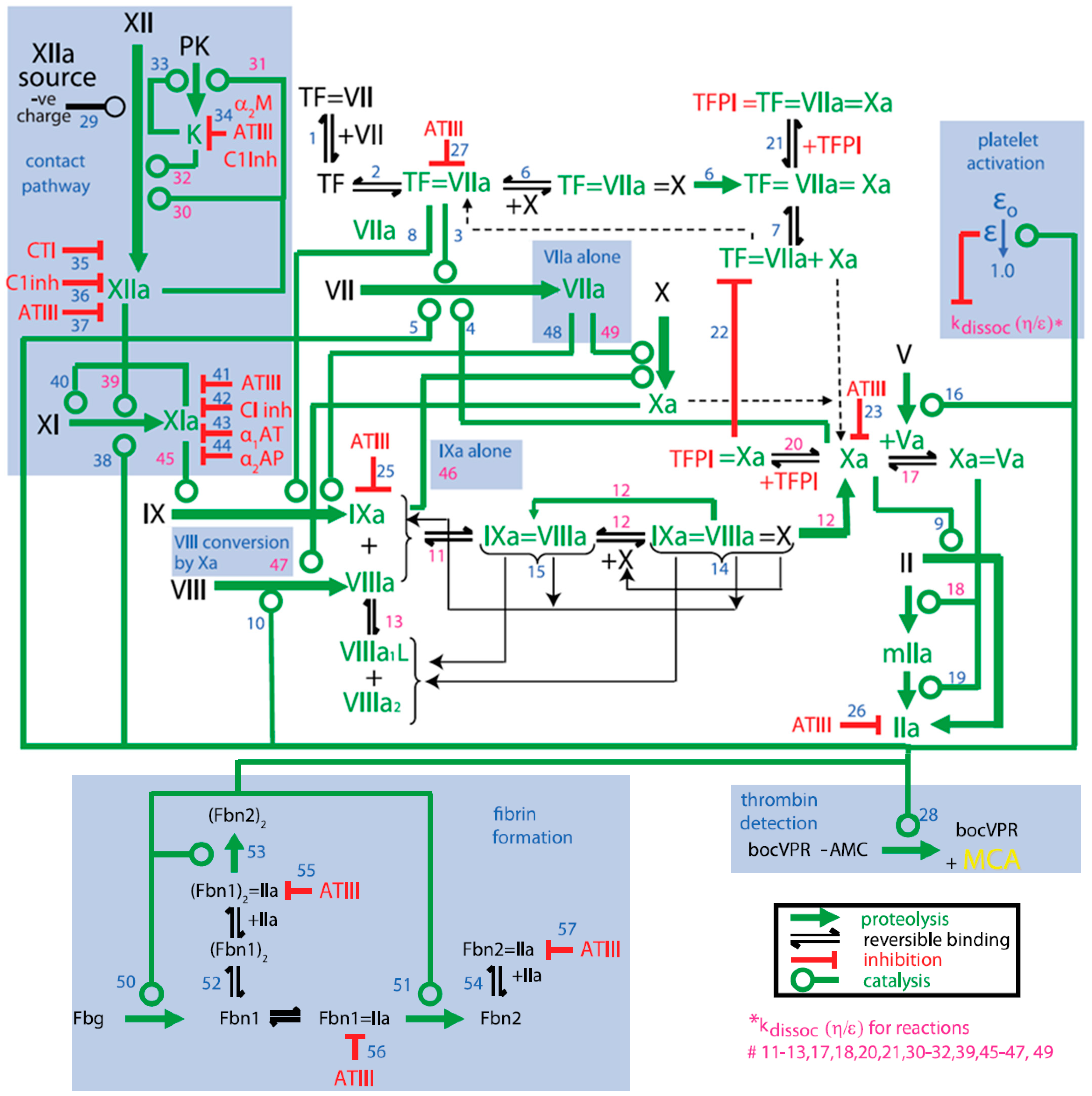 Pharmaceutics 15 00918 g003