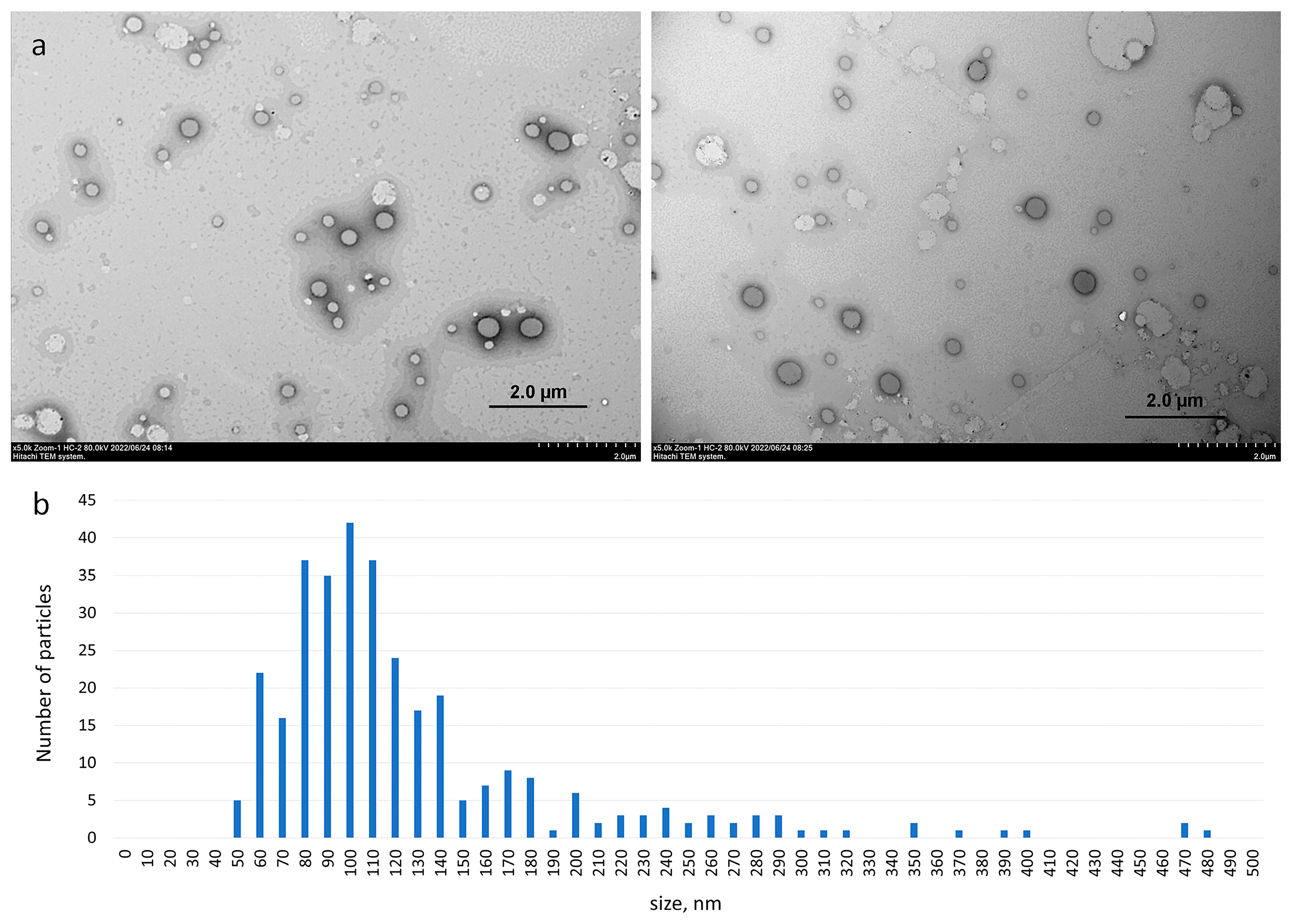 Pharmaceutics 15 00921 g005 Pharmaceutics 15 00921 g005