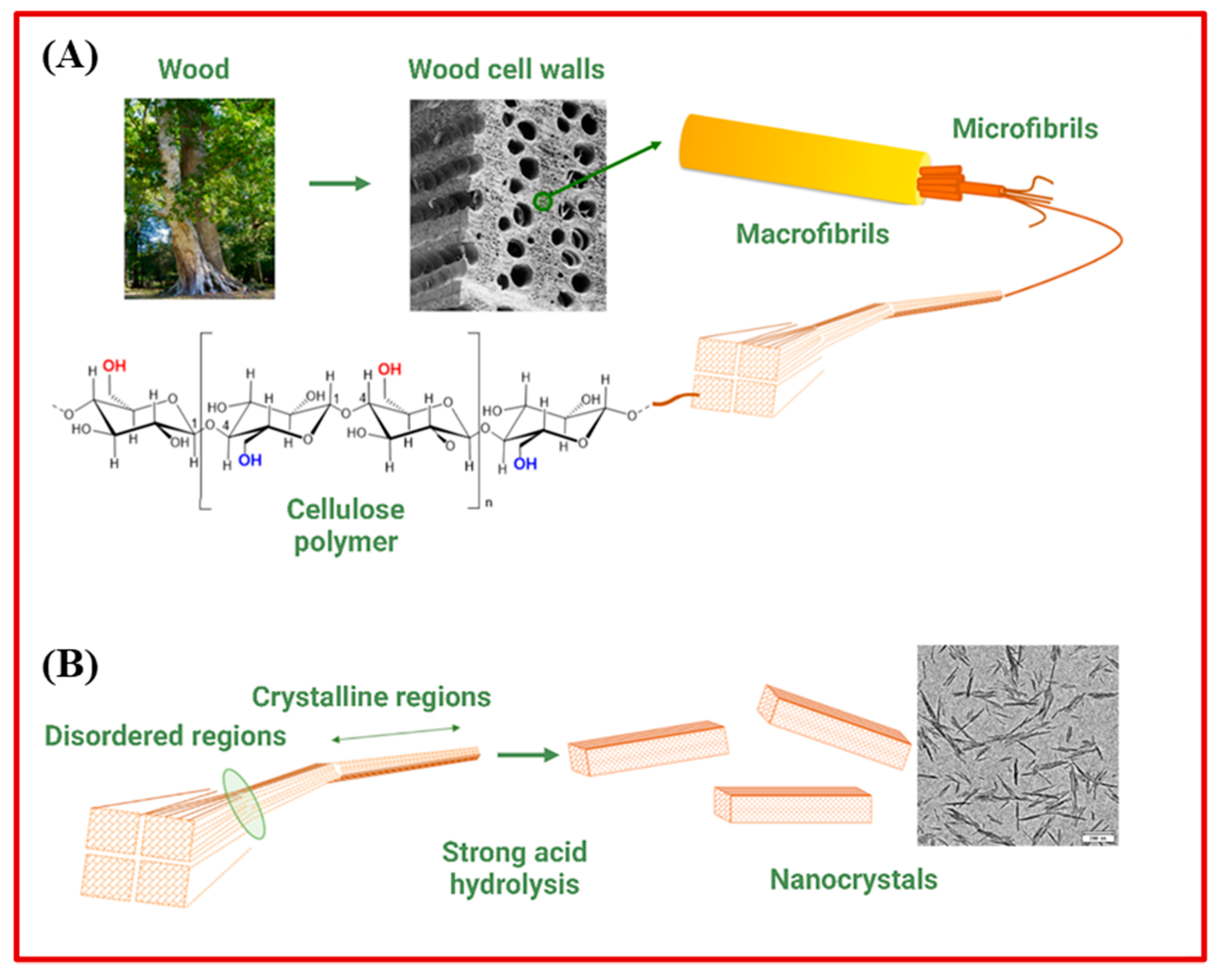 Pharmaceutics 15 00922 g002