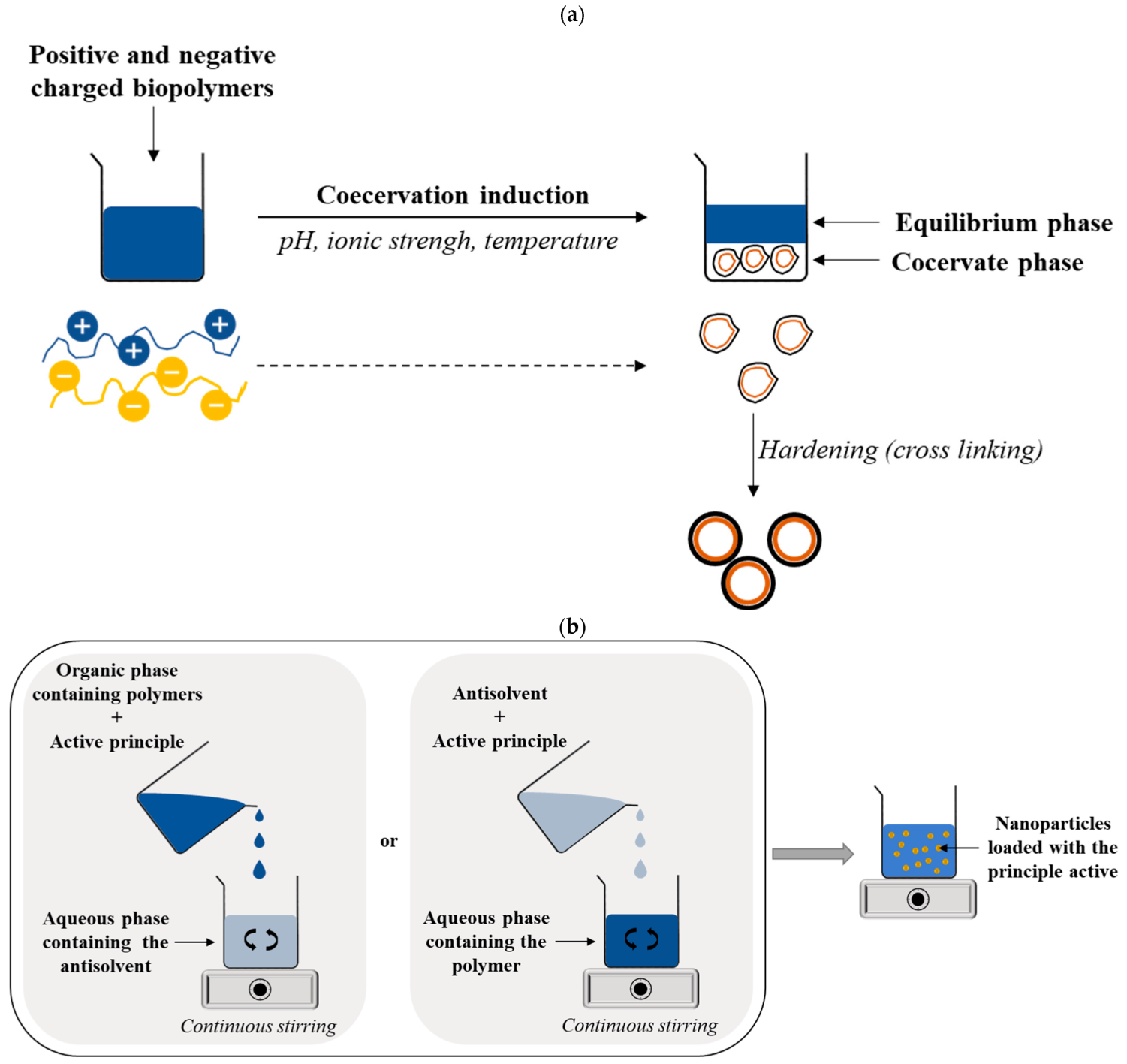 Pharmaceutics 15 00927 g003