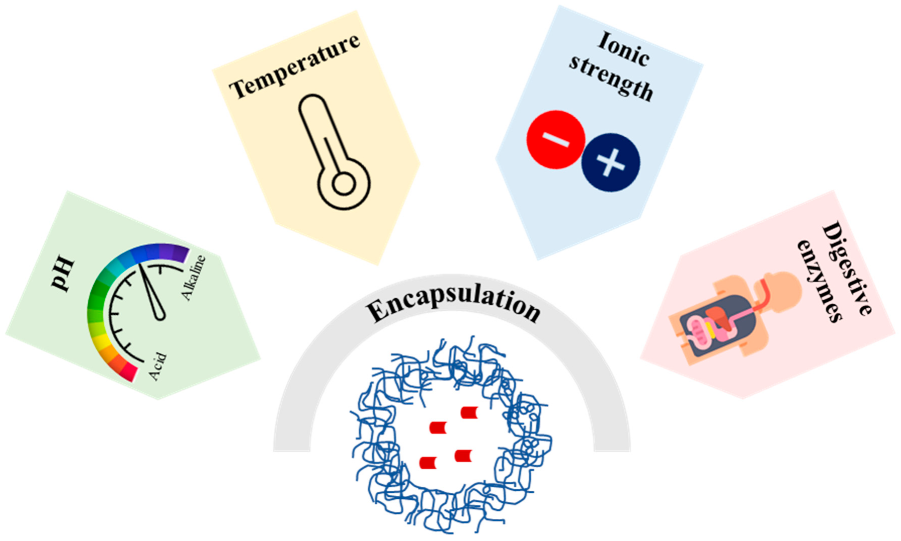 Pharmaceutics 15 00927 g005