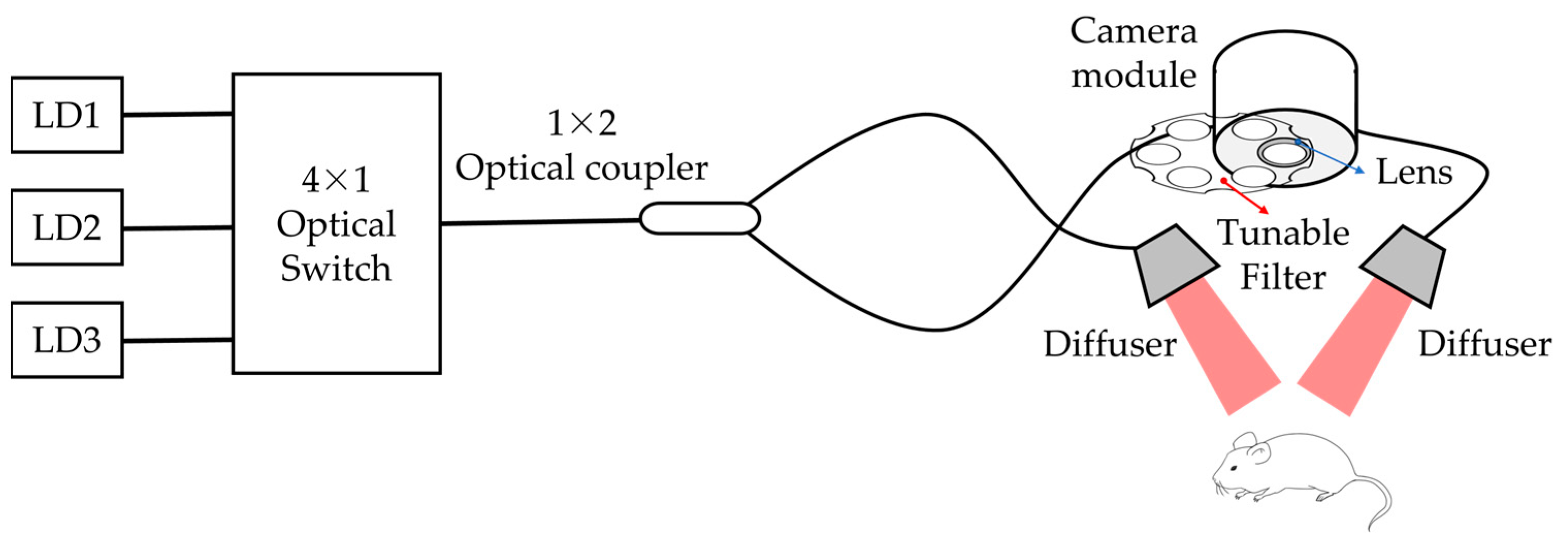 Pharmaceutics 15 00930 g001