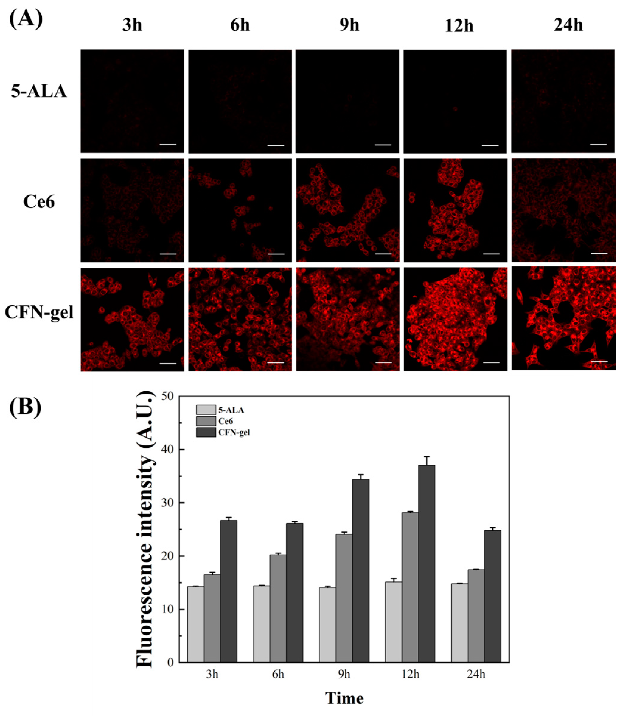 Pharmaceutics 15 00930 g002